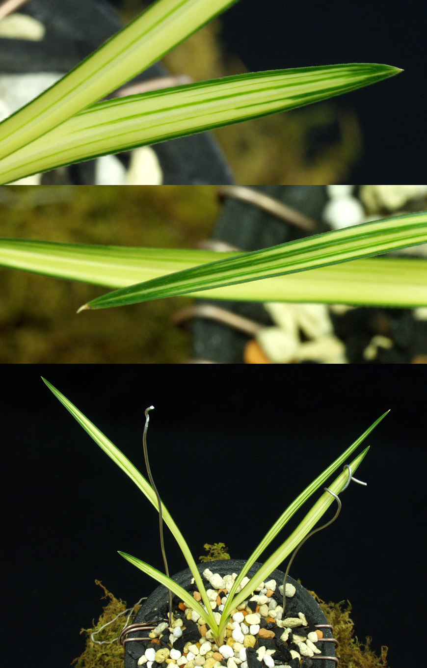 ������ ū������ �� �� �ֽ��ϴ�.