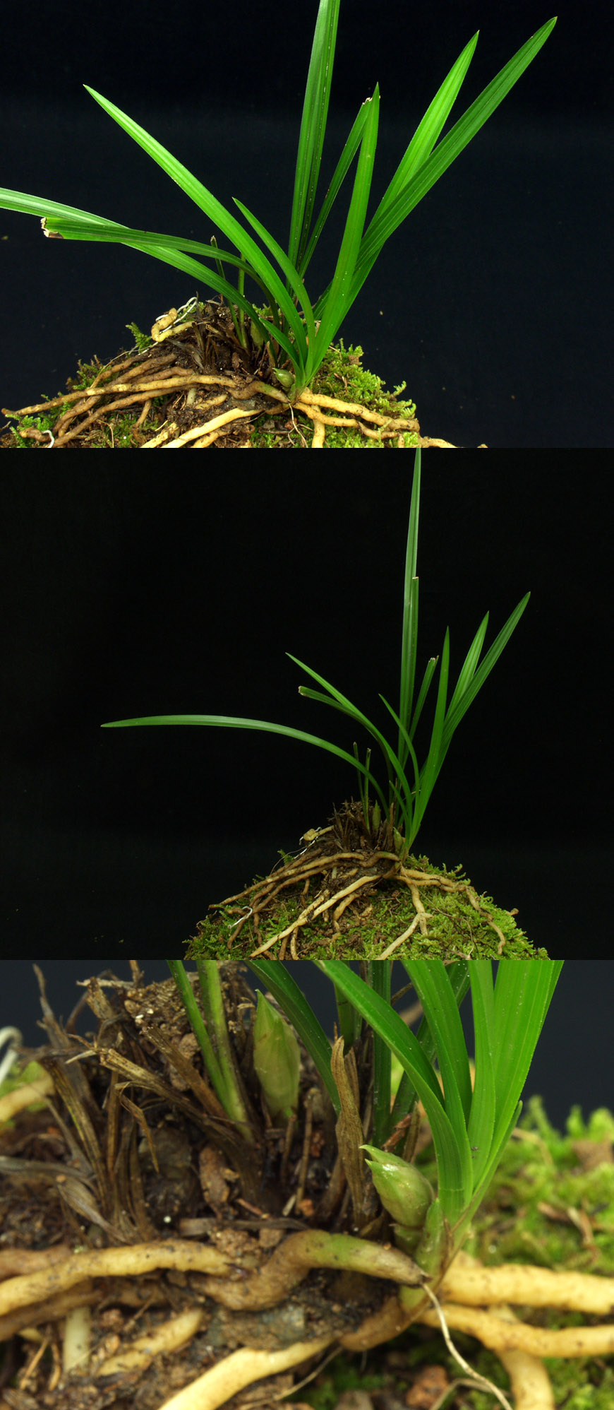 ������ ū������ �� �� �ֽ��ϴ�.