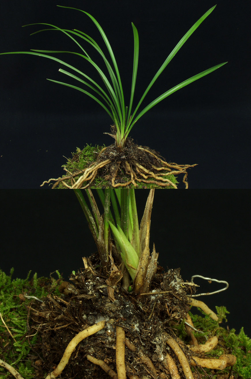 ������ ū������ �� �� �ֽ��ϴ�.