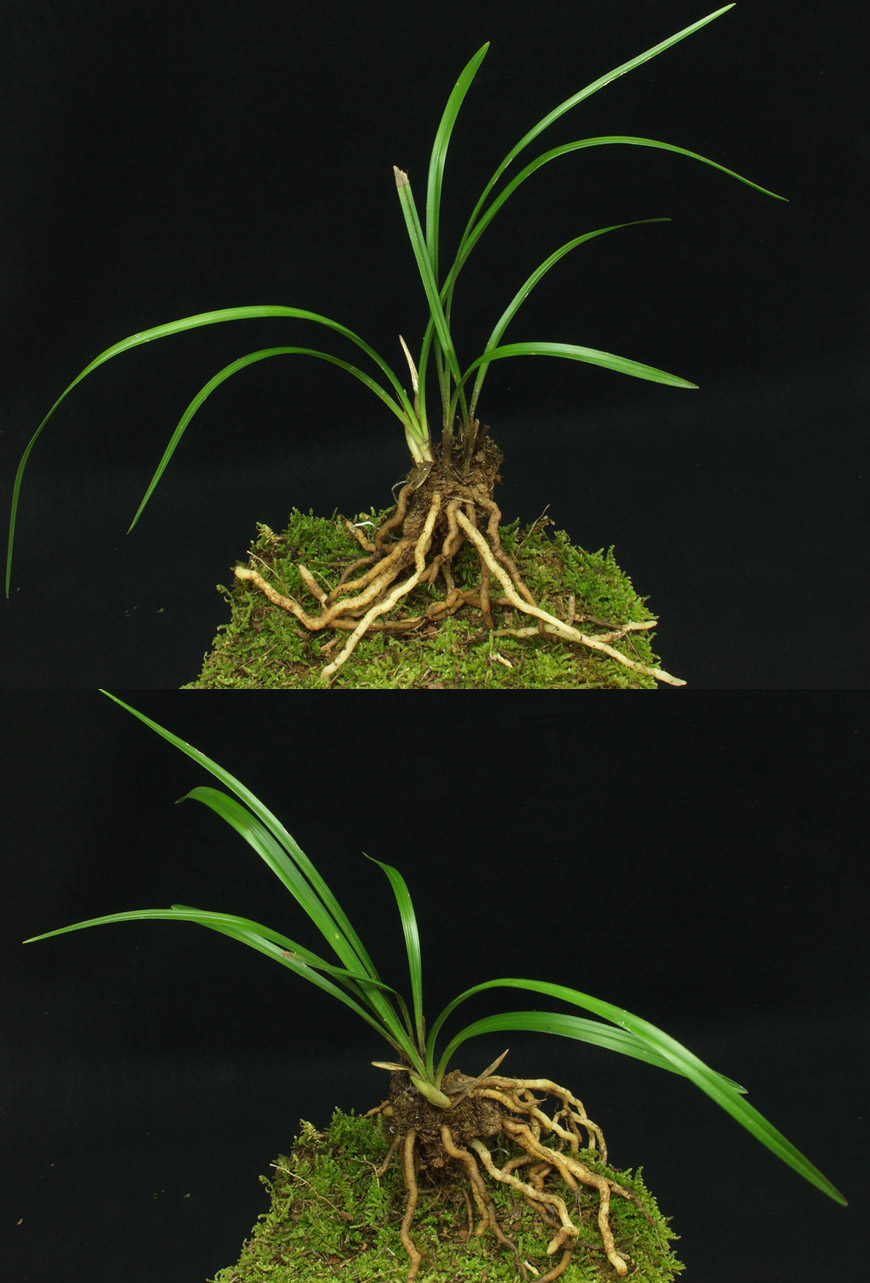 ������ ū������ �� �� �ֽ��ϴ�.