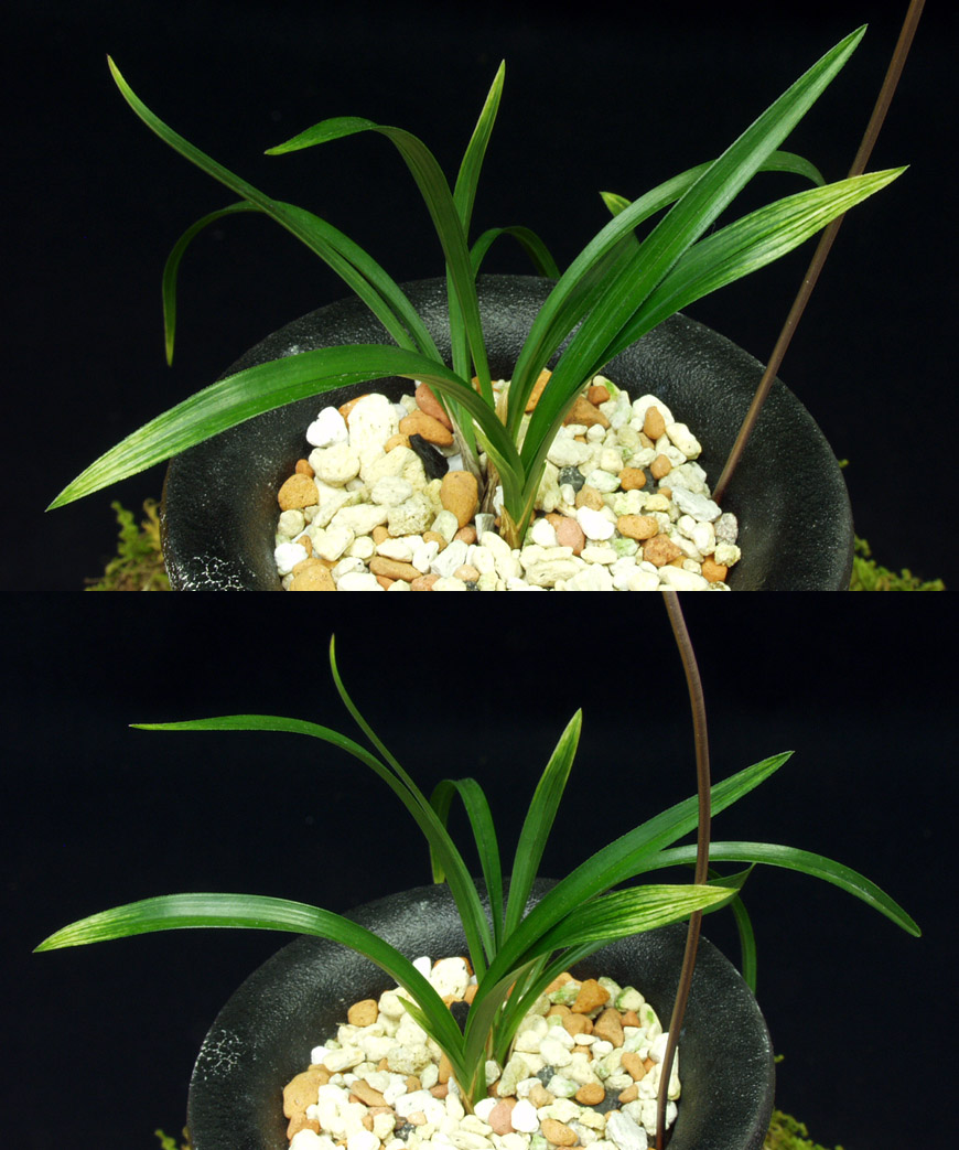 ������ ū������ �� �� �ֽ��ϴ�.