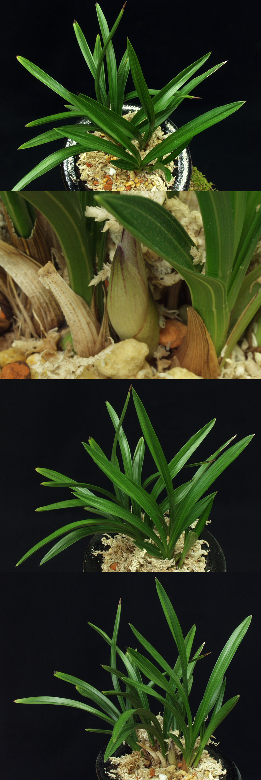 ������ ū������ �� �� �ֽ��ϴ�.