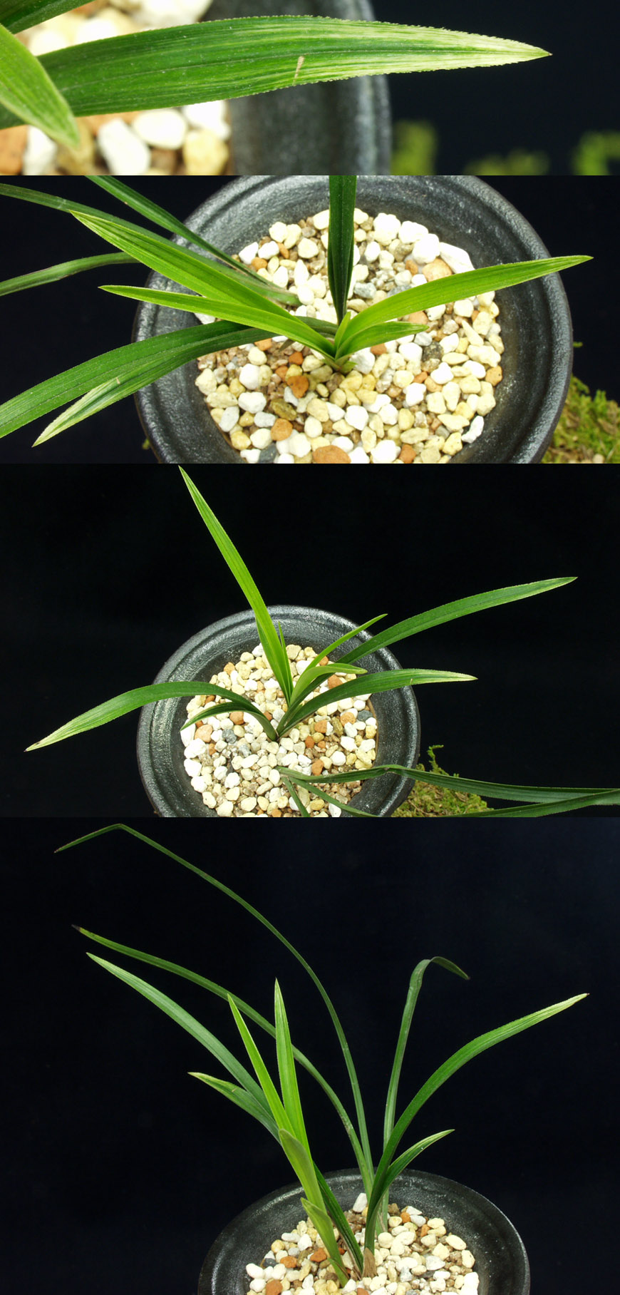 ������ ū������ �� �� �ֽ��ϴ�.