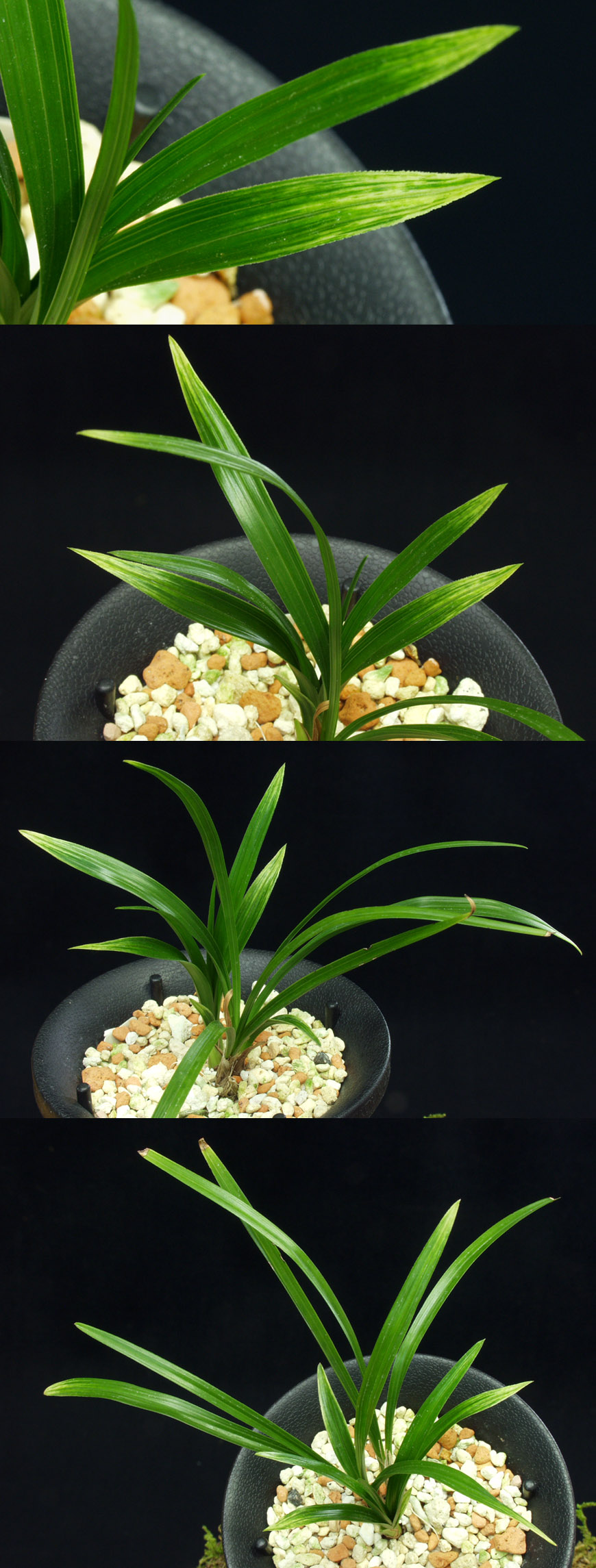 ������ ū������ �� �� �ֽ��ϴ�.