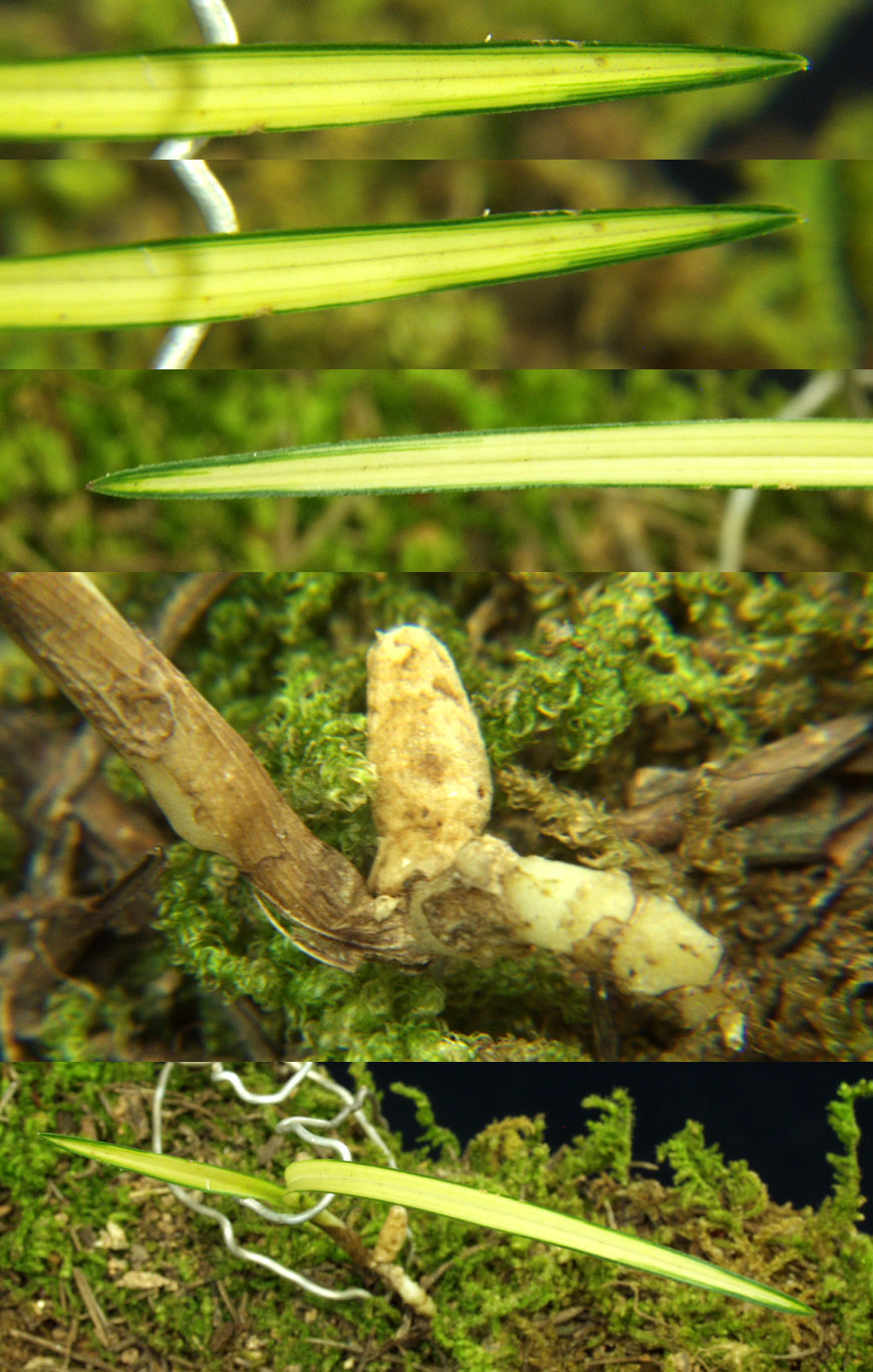 ������ ū������ �� �� �ֽ��ϴ�.