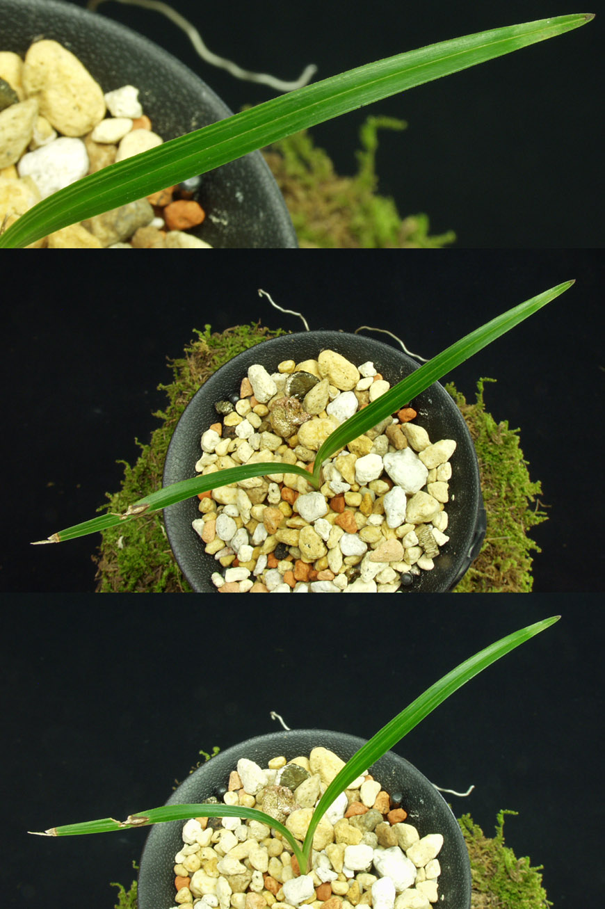 ������ ū������ �� �� �ֽ��ϴ�.