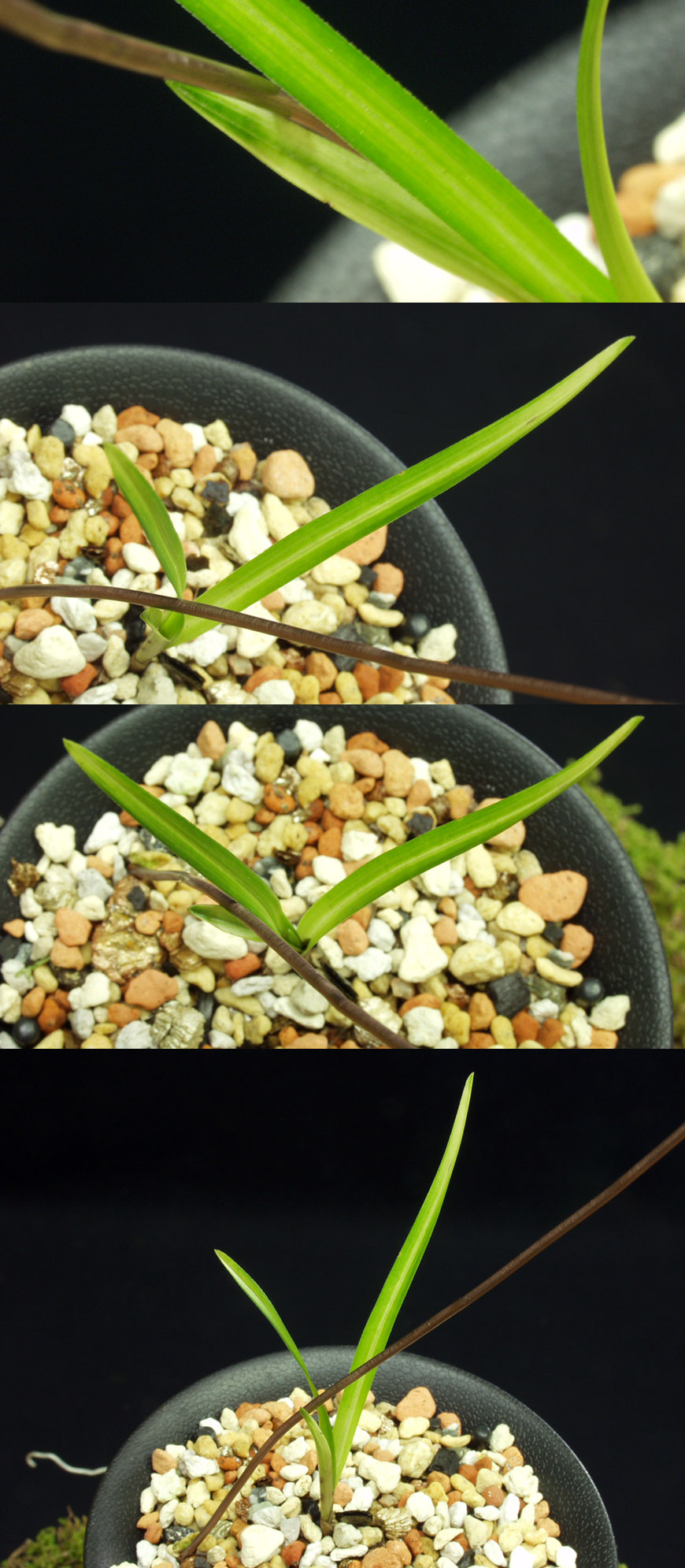 ������ ū������ �� �� �ֽ��ϴ�.