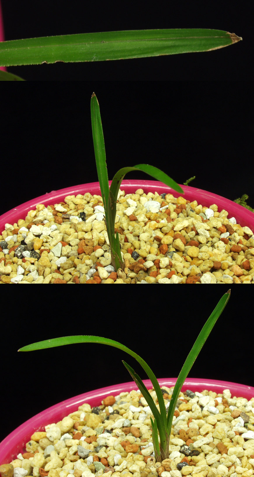 ������ ū������ �� �� �ֽ��ϴ�.