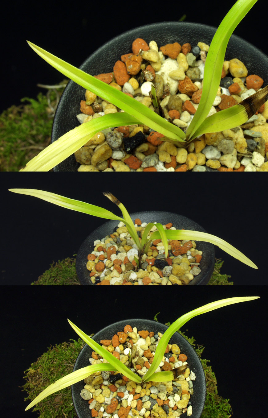 ������ ū������ �� �� �ֽ��ϴ�.