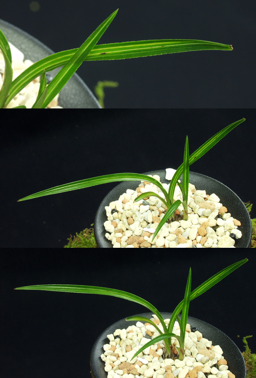 ������ ū������ �� �� �ֽ��ϴ�.