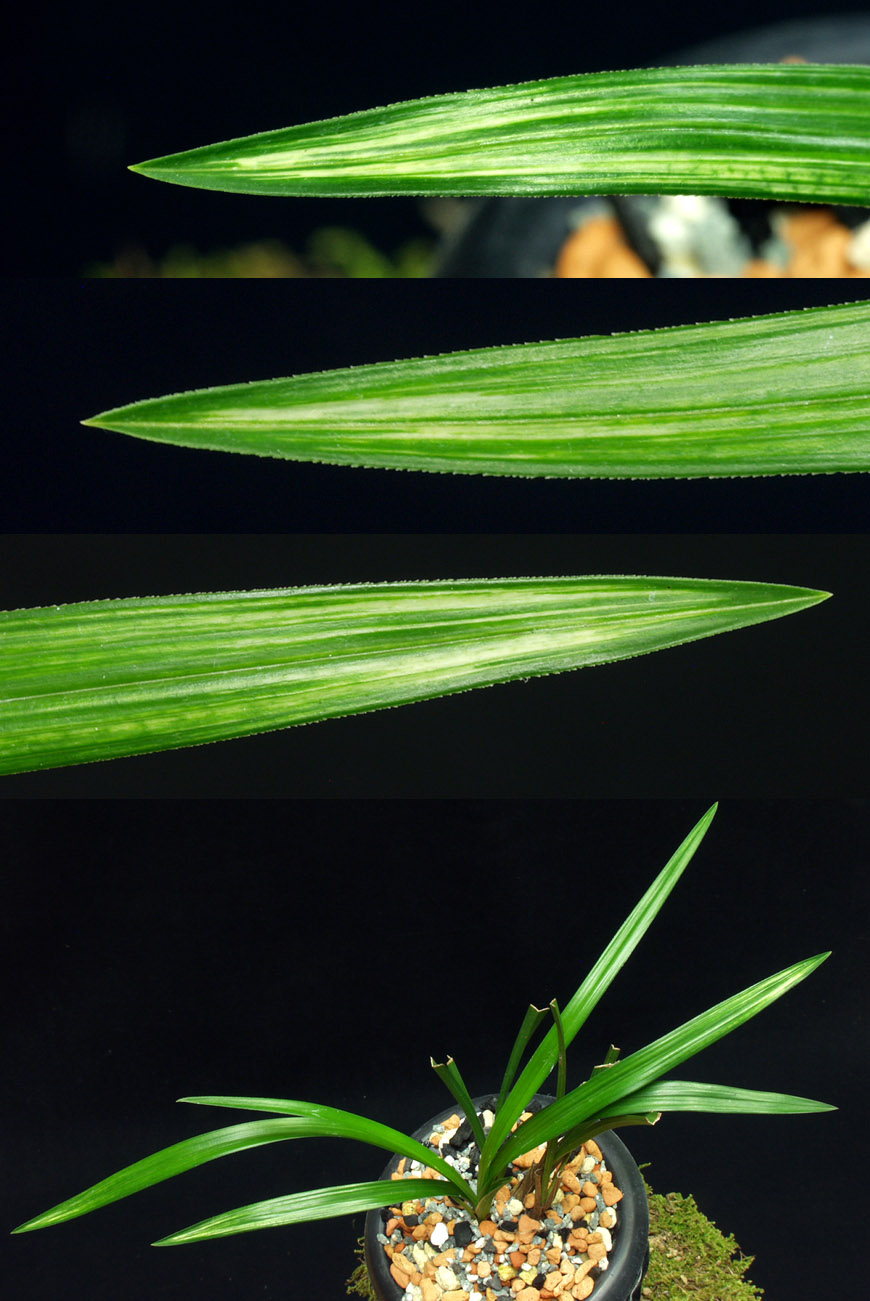 ������ ū������ �� �� �ֽ��ϴ�.