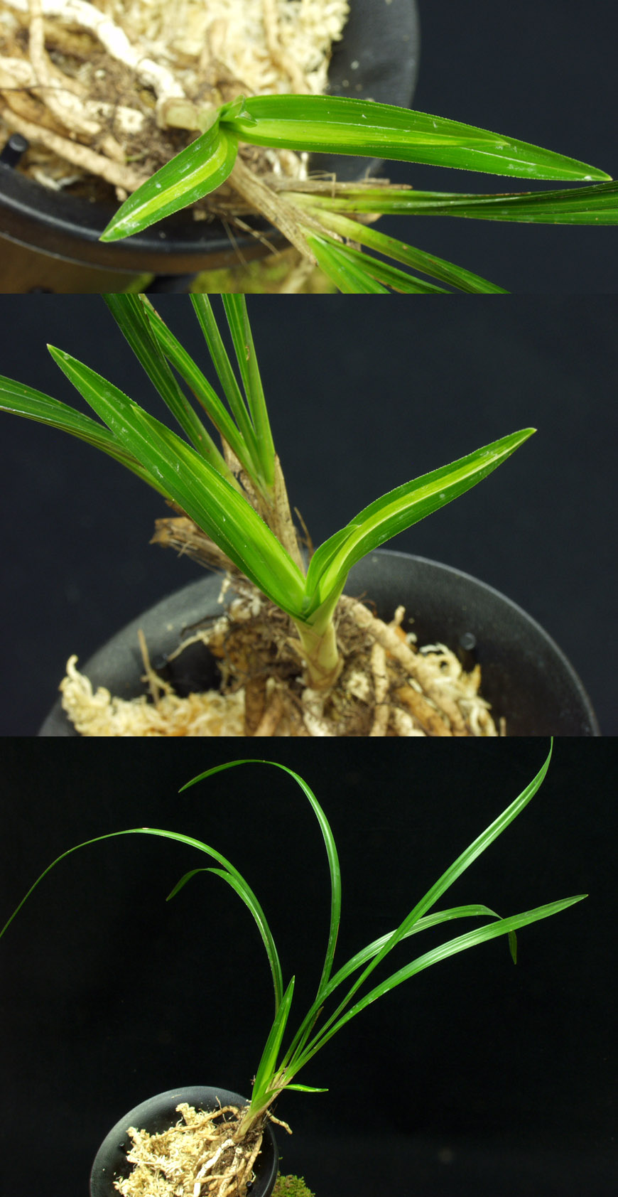 ������ ū������ �� �� �ֽ��ϴ�.