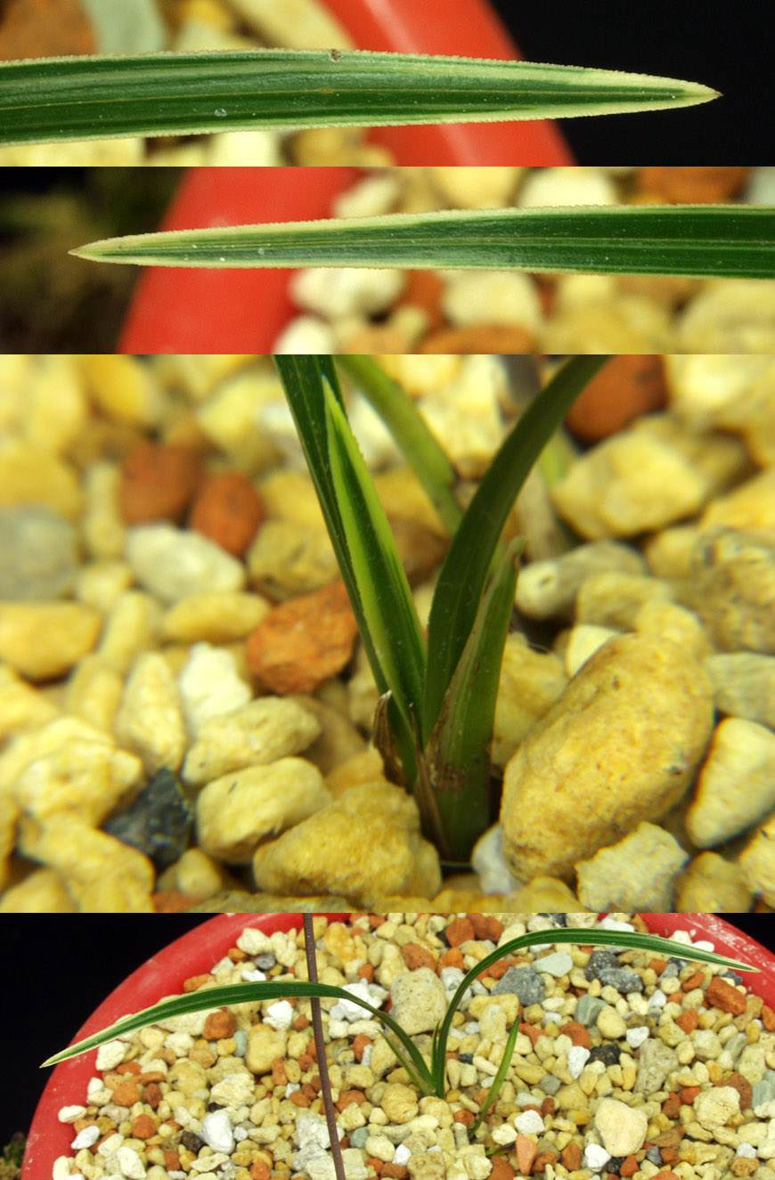 ������ ū������ �� �� �ֽ��ϴ�.