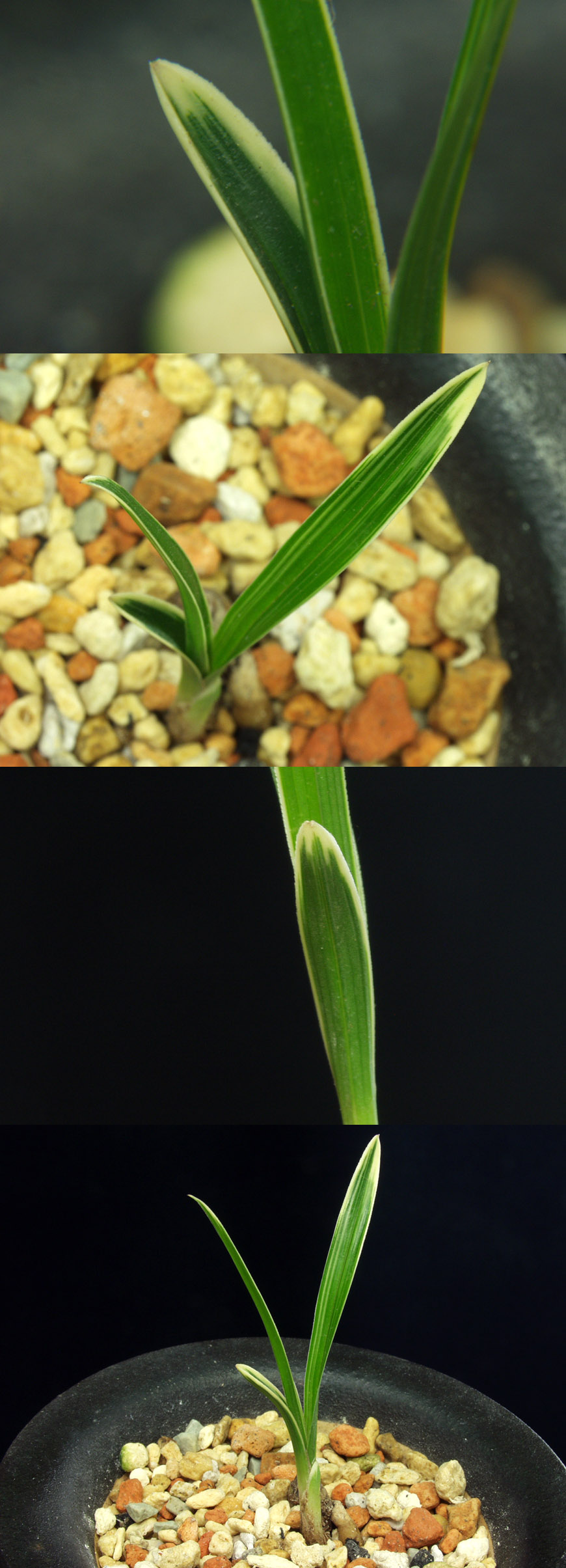 ������ ū������ �� �� �ֽ��ϴ�.