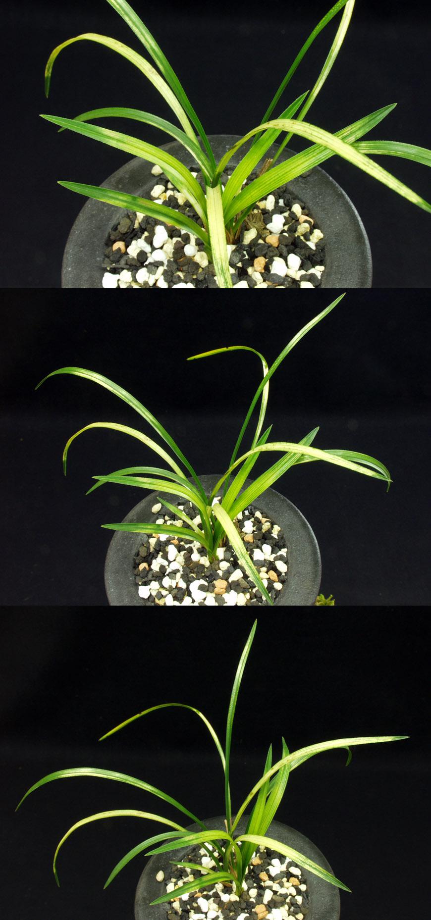 ������ ū������ �� �� �ֽ��ϴ�.