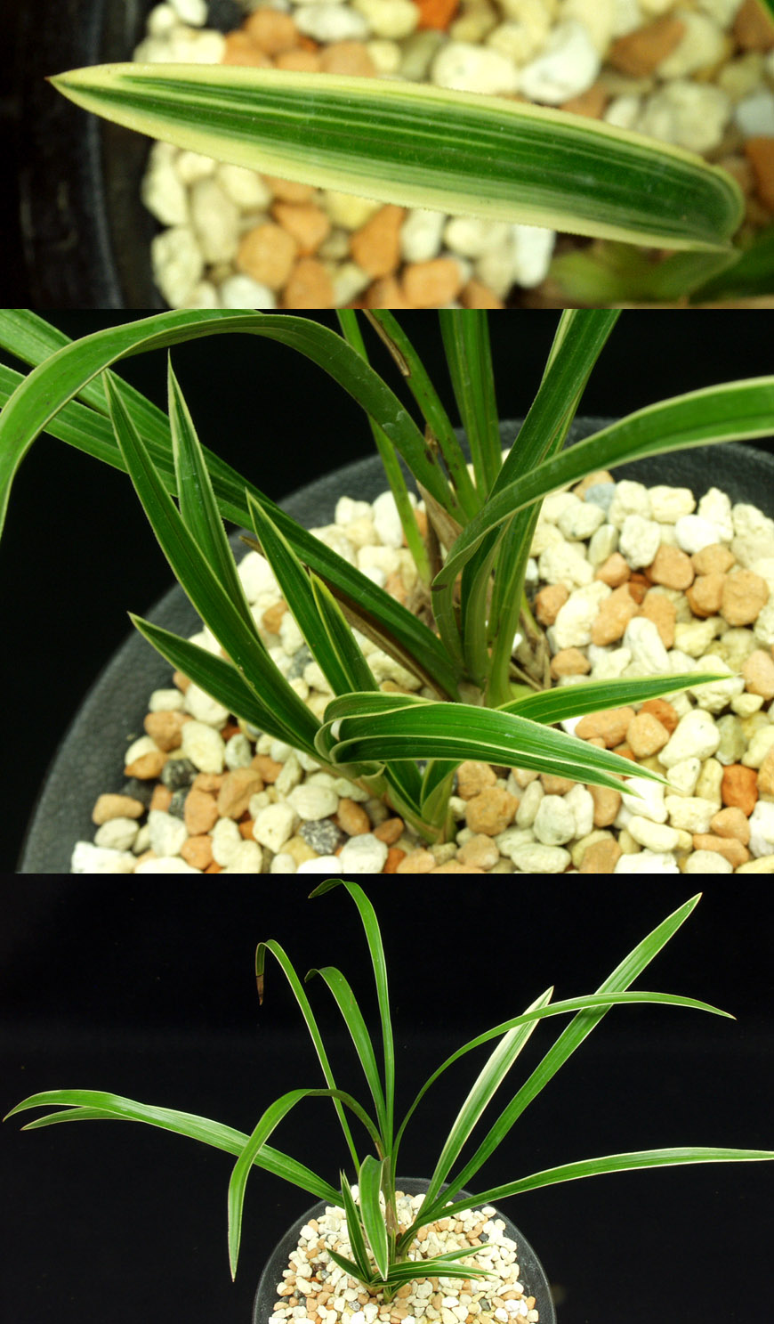 ������ ū������ �� �� �ֽ��ϴ�.