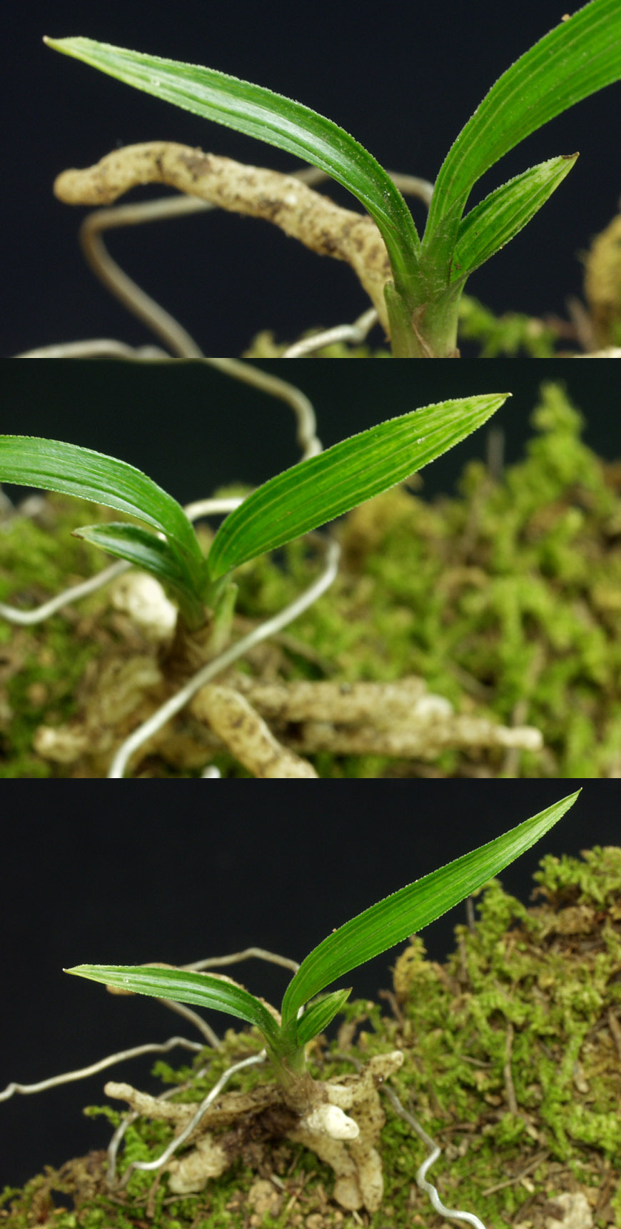 ������ ū������ �� �� �ֽ��ϴ�.