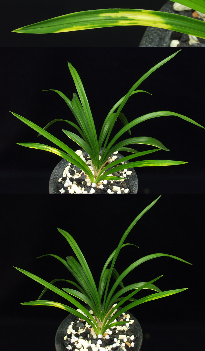 ������ ū������ �� �� �ֽ��ϴ�.