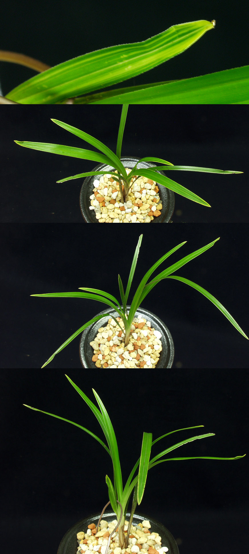 ������ ū������ �� �� �ֽ��ϴ�.