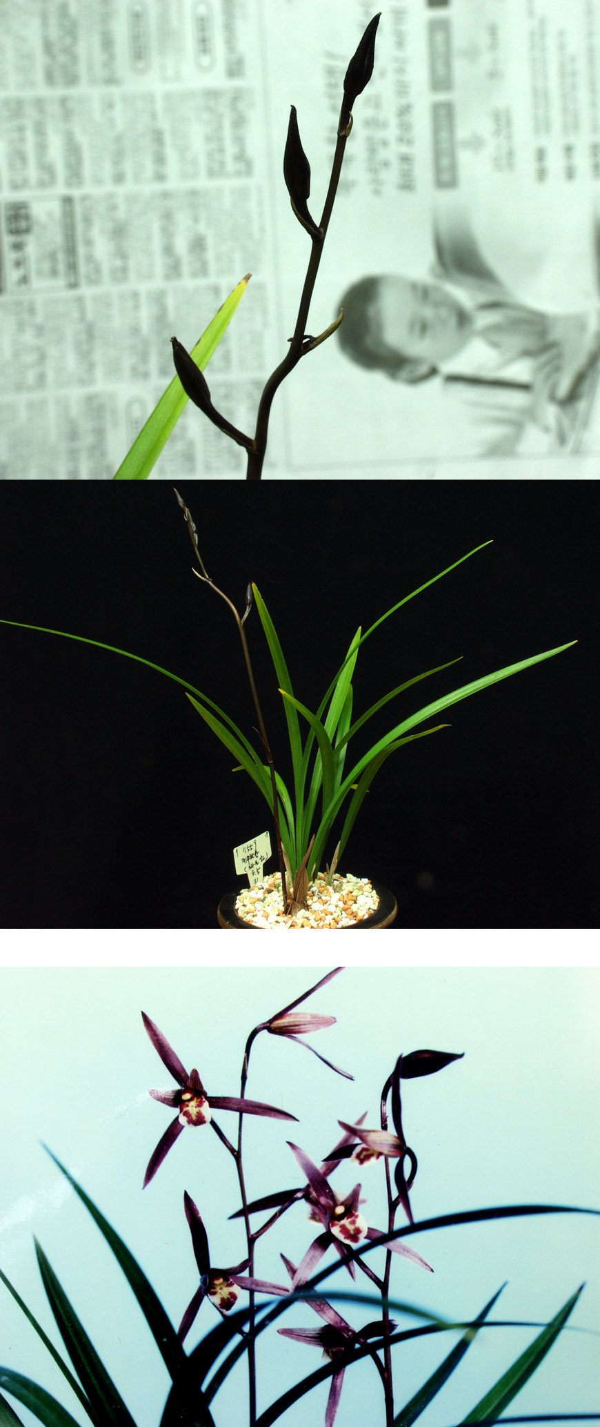 ������ ū������ �� �� �ֽ��ϴ�.