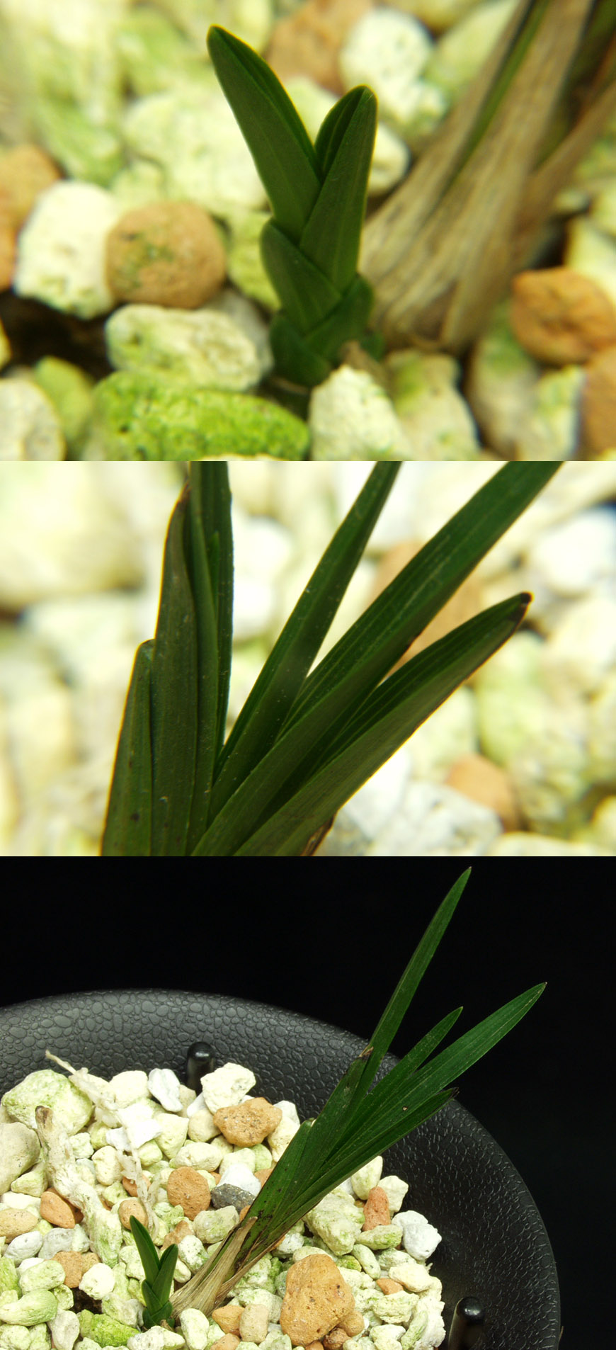 ������ ū������ �� �� �ֽ��ϴ�.