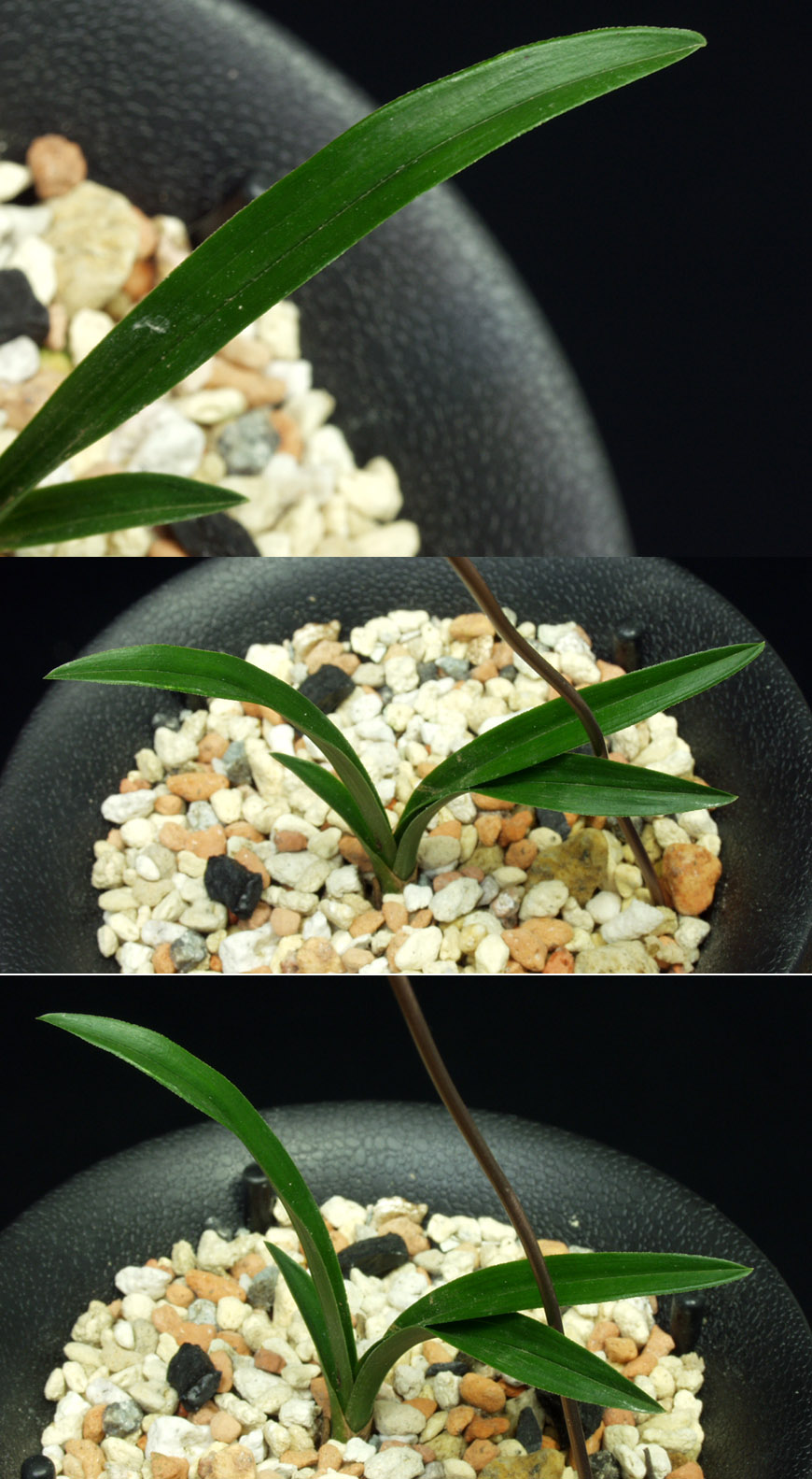 ������ ū������ �� �� �ֽ��ϴ�.