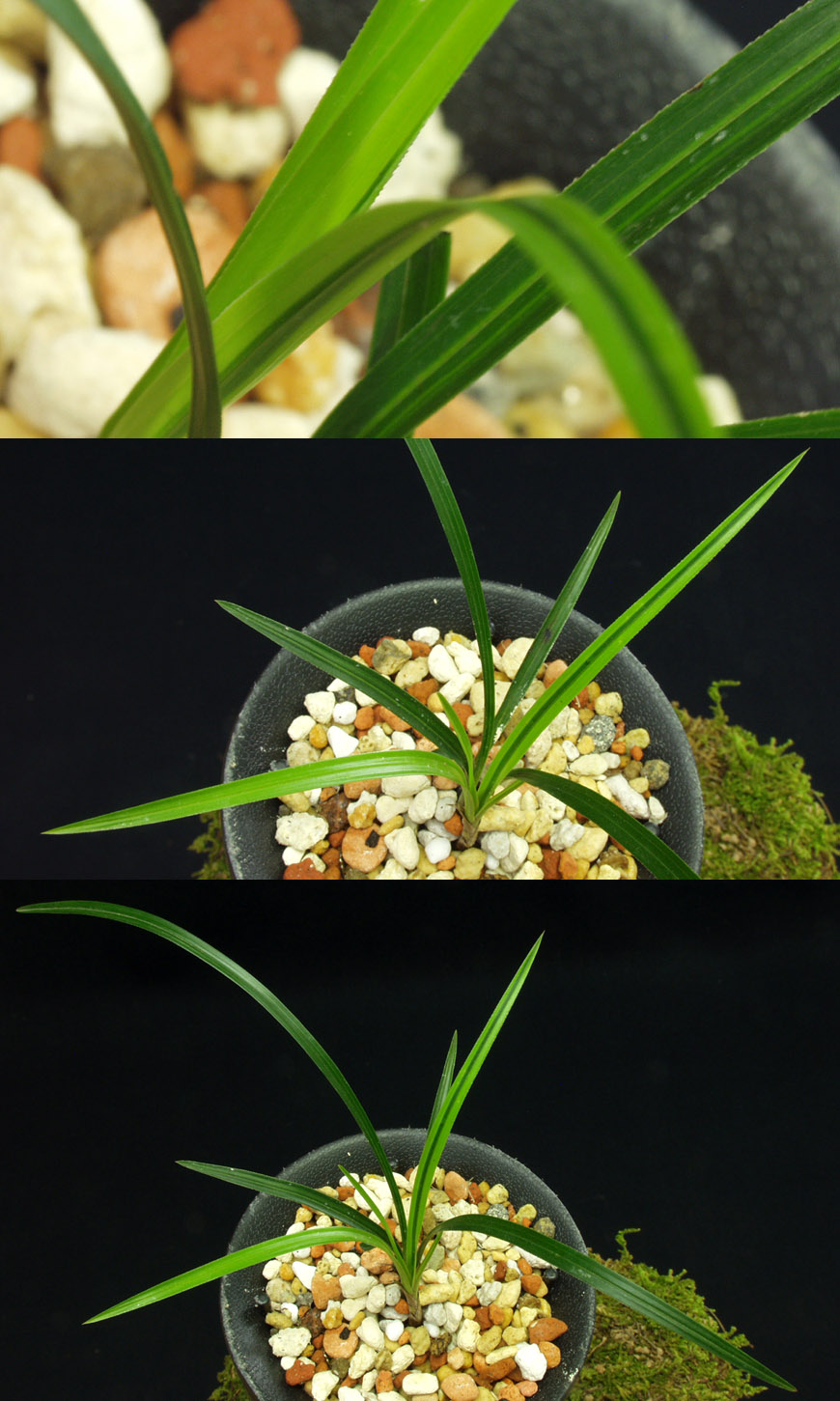 ������ ū������ �� �� �ֽ��ϴ�.