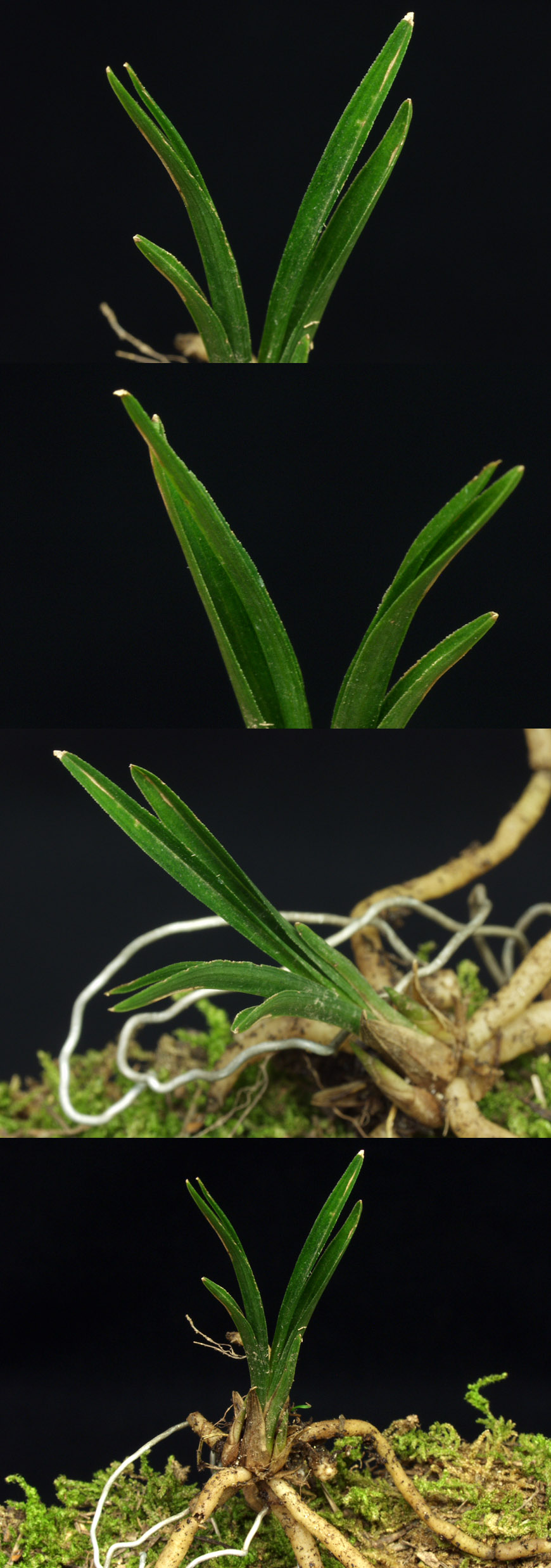 ������ ū������ �� �� �ֽ��ϴ�.