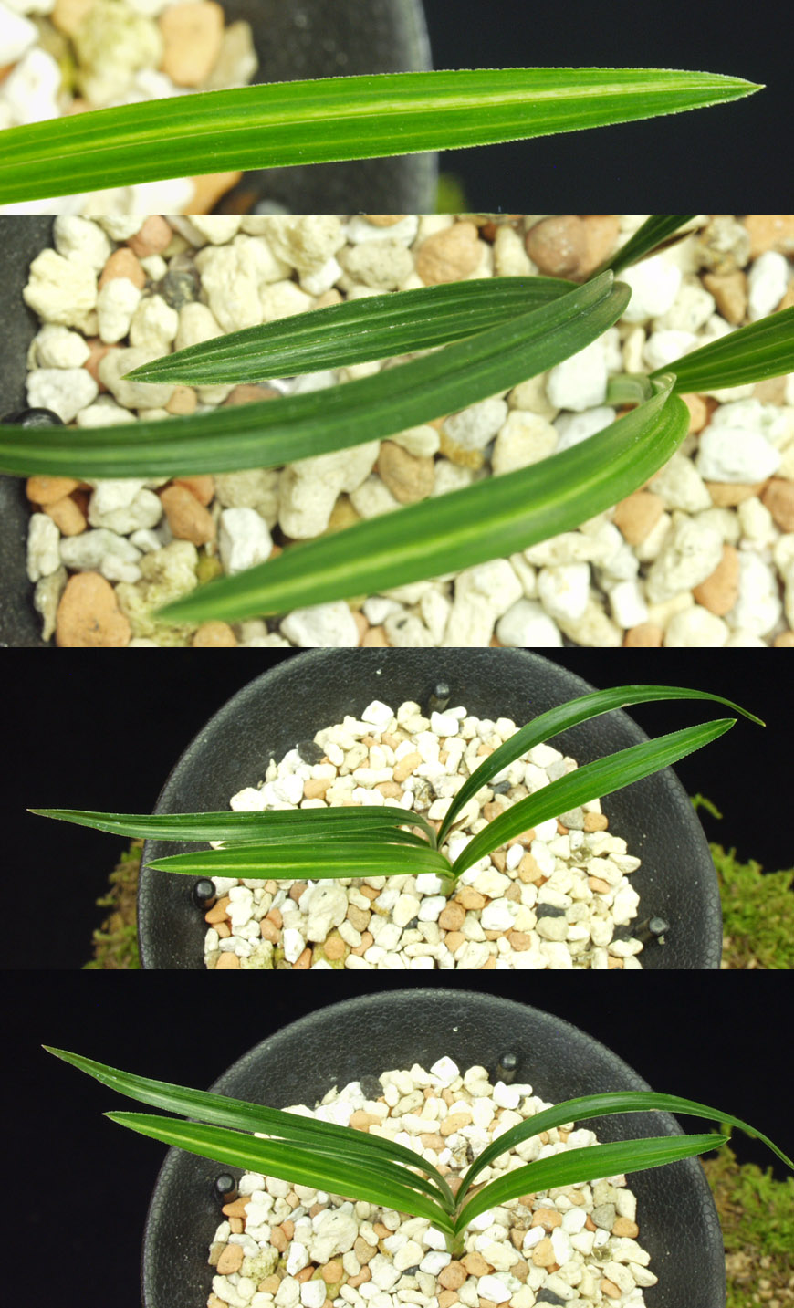 ������ ū������ �� �� �ֽ��ϴ�.