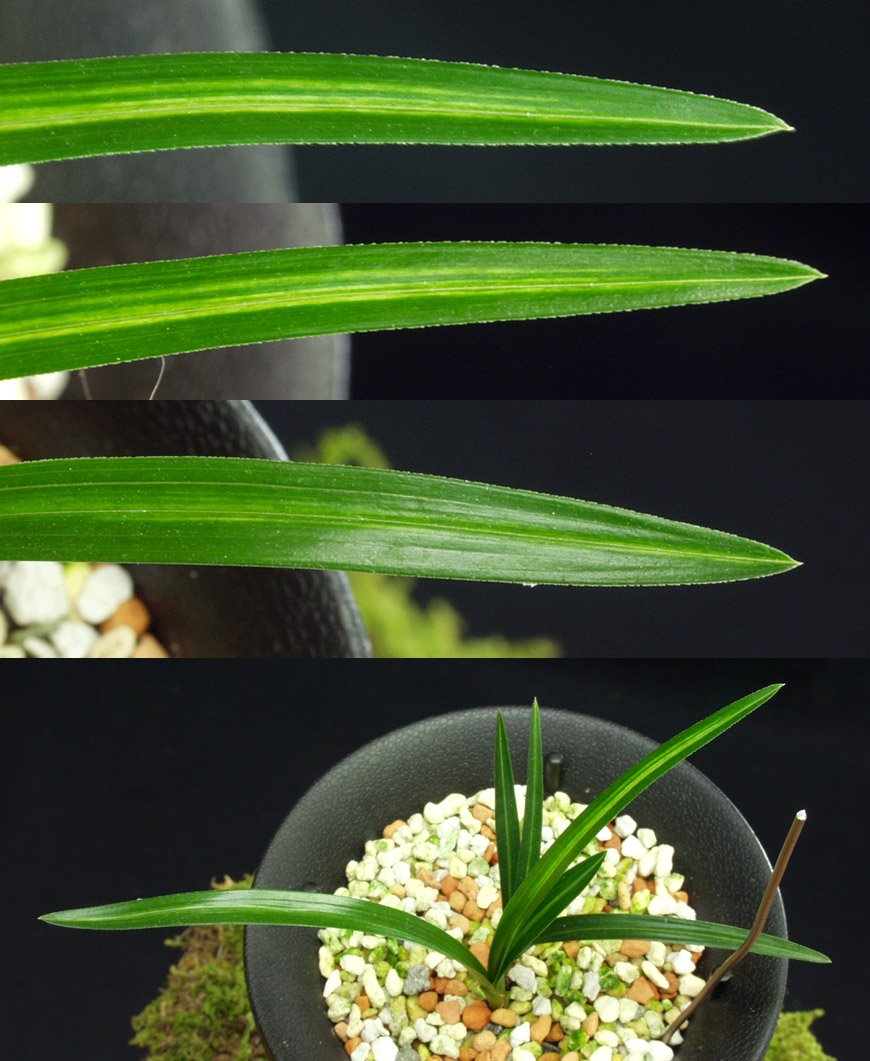 ������ ū������ �� �� �ֽ��ϴ�.