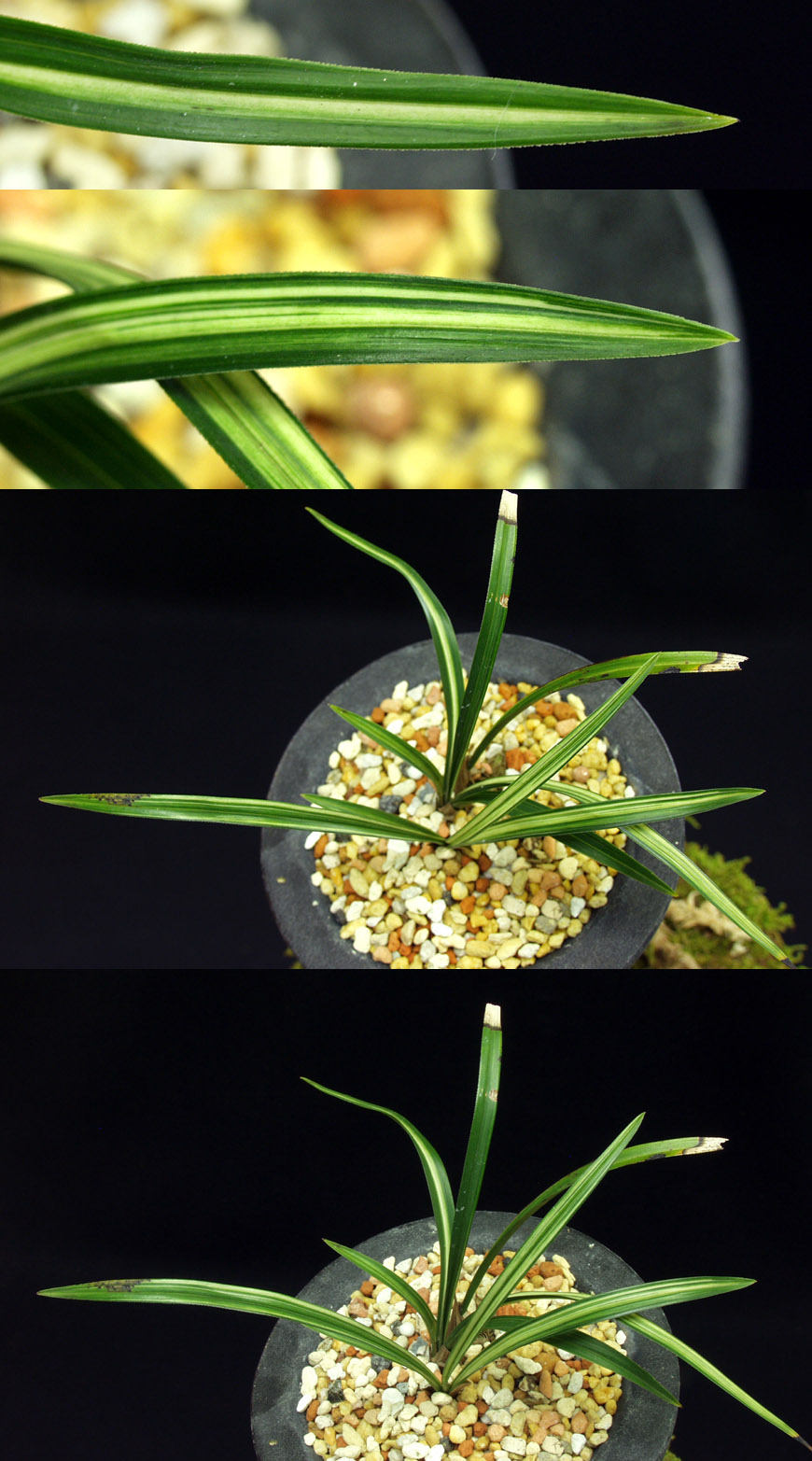 ������ ū������ �� �� �ֽ��ϴ�.