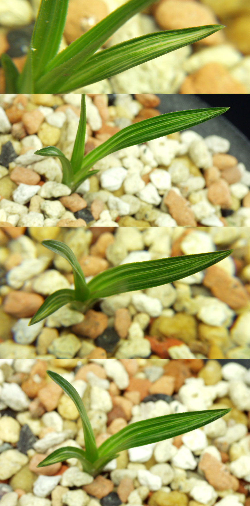 ������ ū������ �� �� �ֽ��ϴ�.