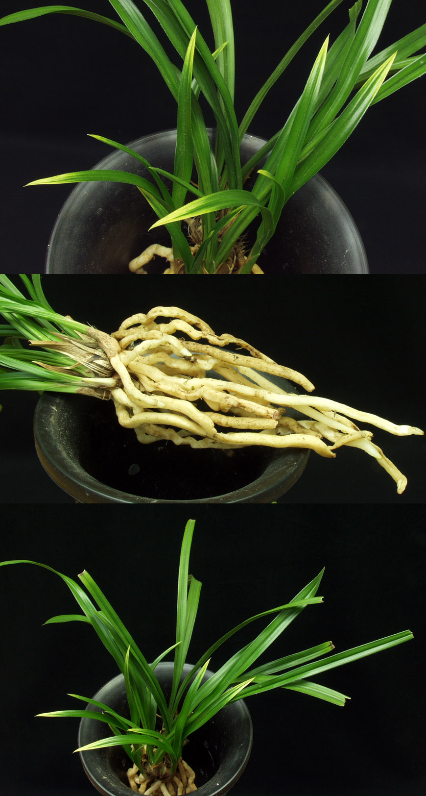 ������ ū������ �� �� �ֽ��ϴ�.