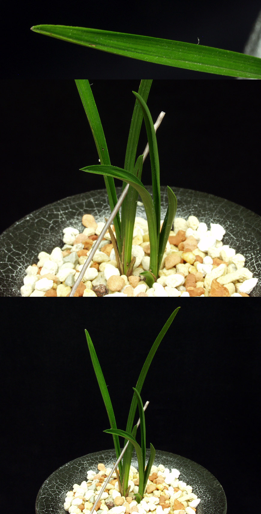 ������ ū������ �� �� �ֽ��ϴ�.