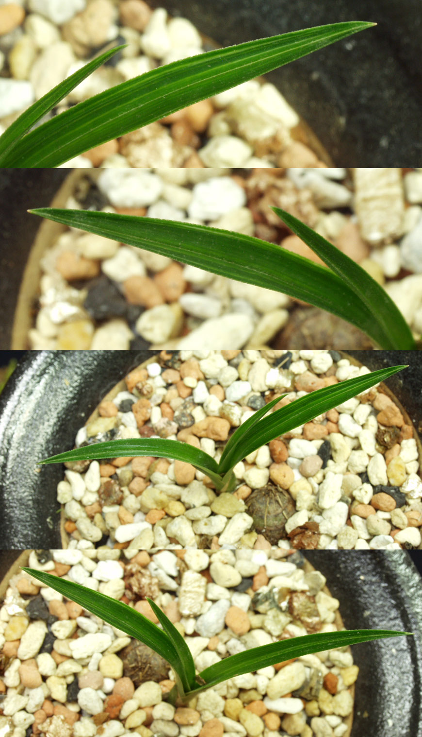 ������ ū������ �� �� �ֽ��ϴ�.