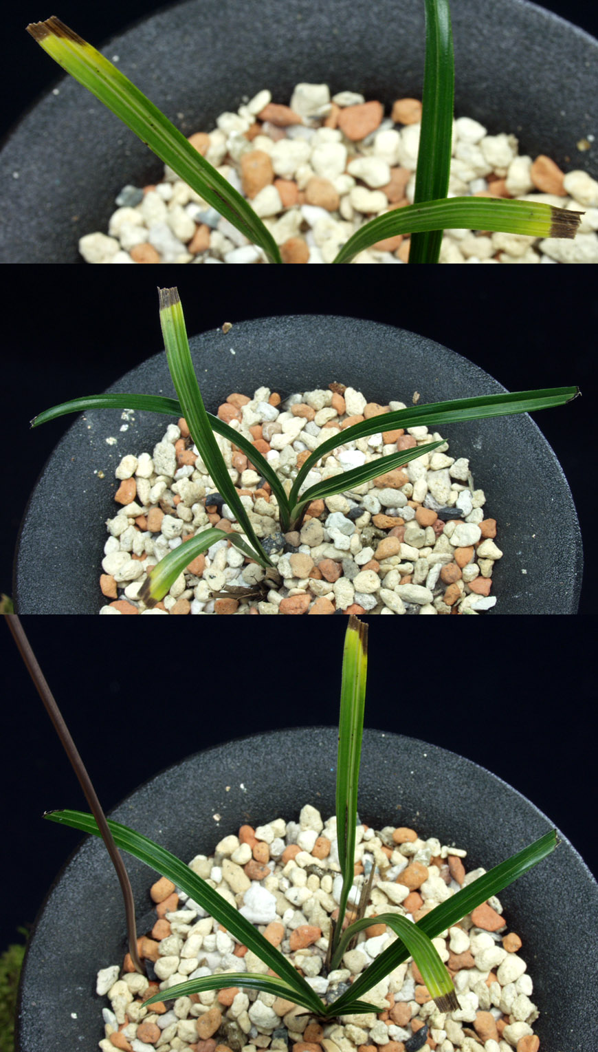 ������ ū������ �� �� �ֽ��ϴ�.