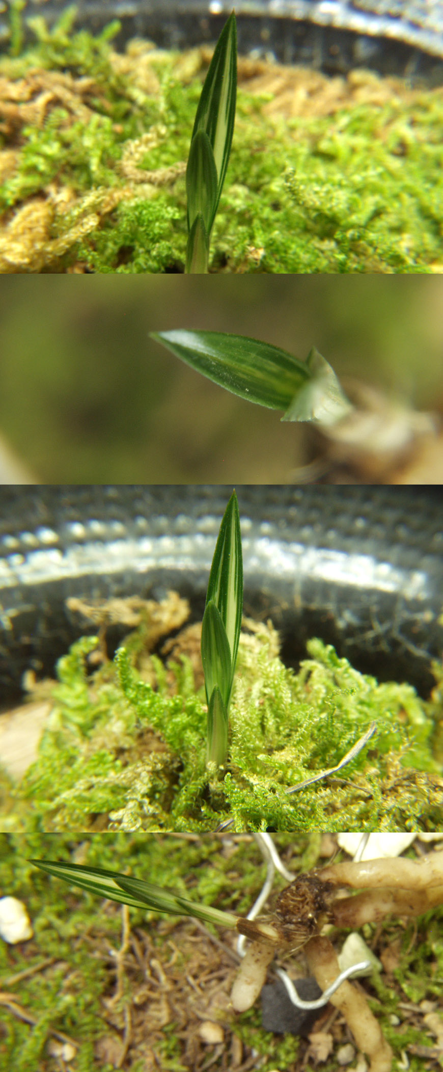 ������ ū������ �� �� �ֽ��ϴ�.