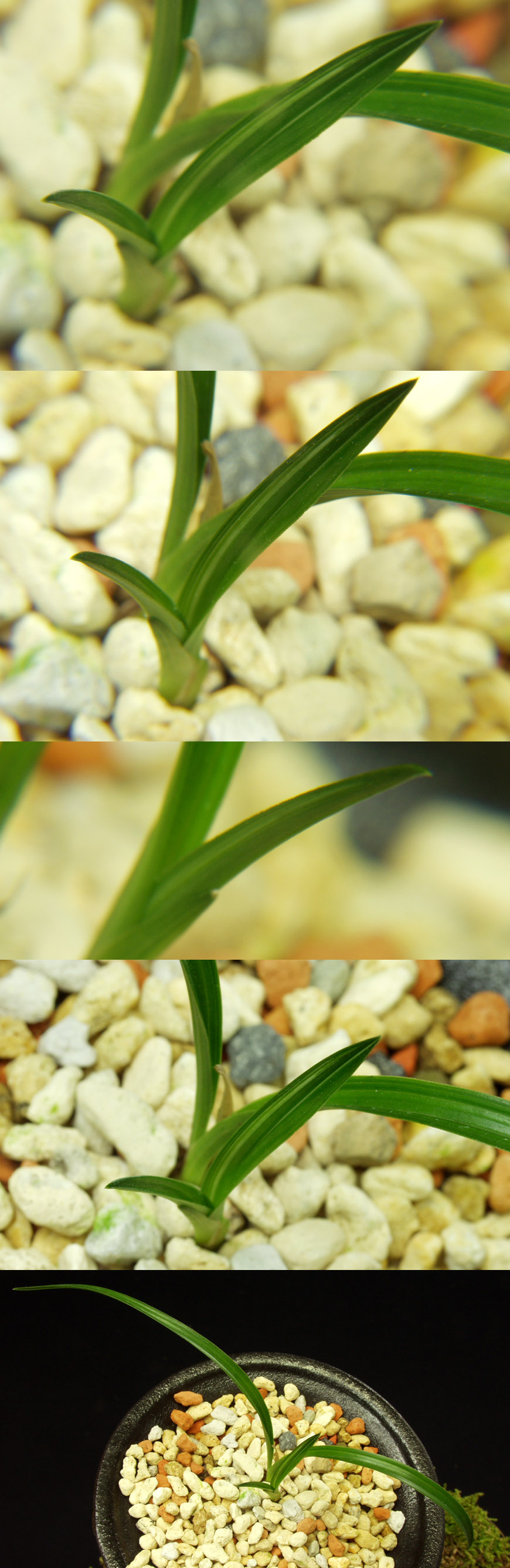 ������ ū������ �� �� �ֽ��ϴ�.