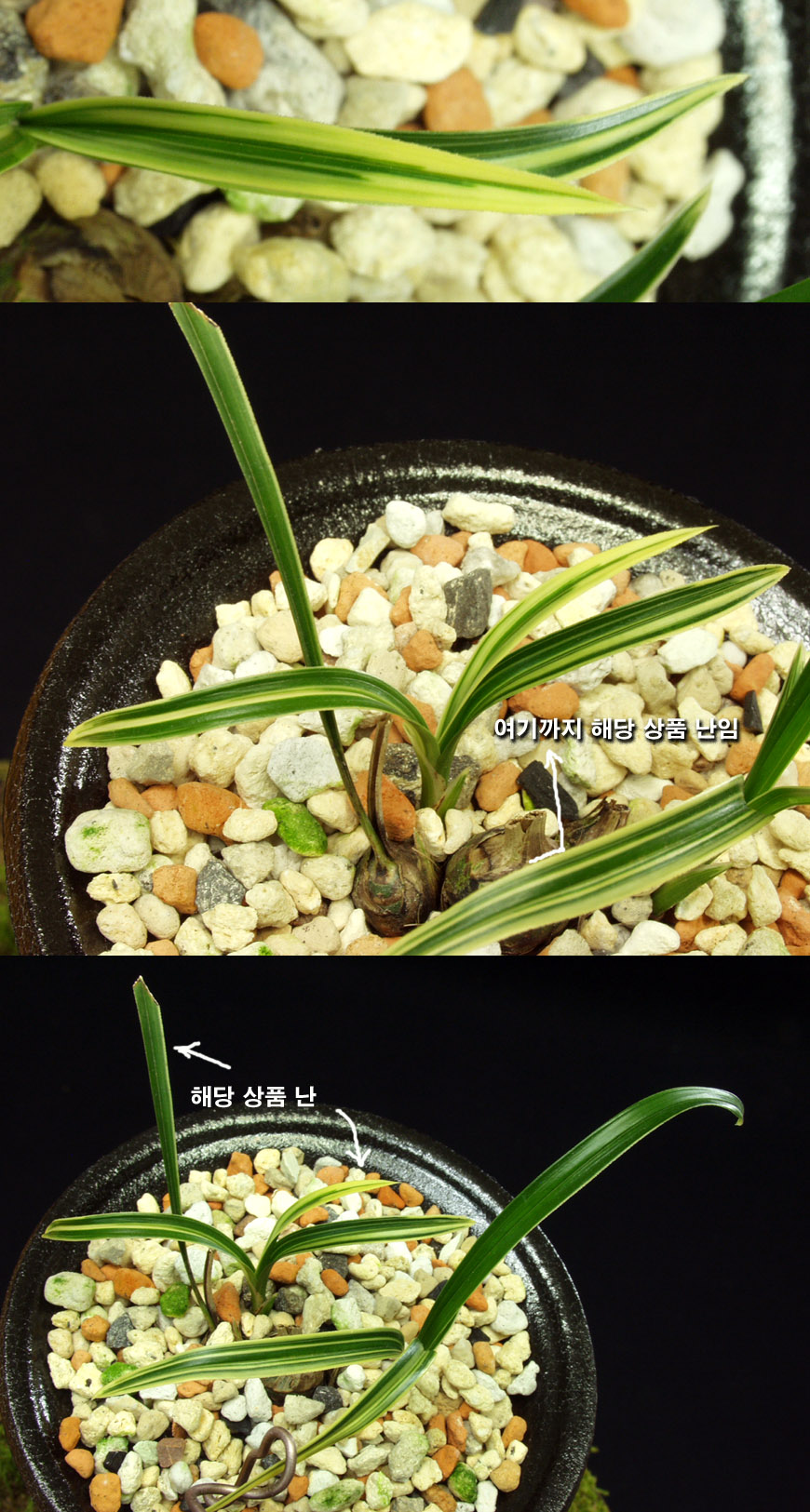 ������ ū������ �� �� �ֽ��ϴ�.