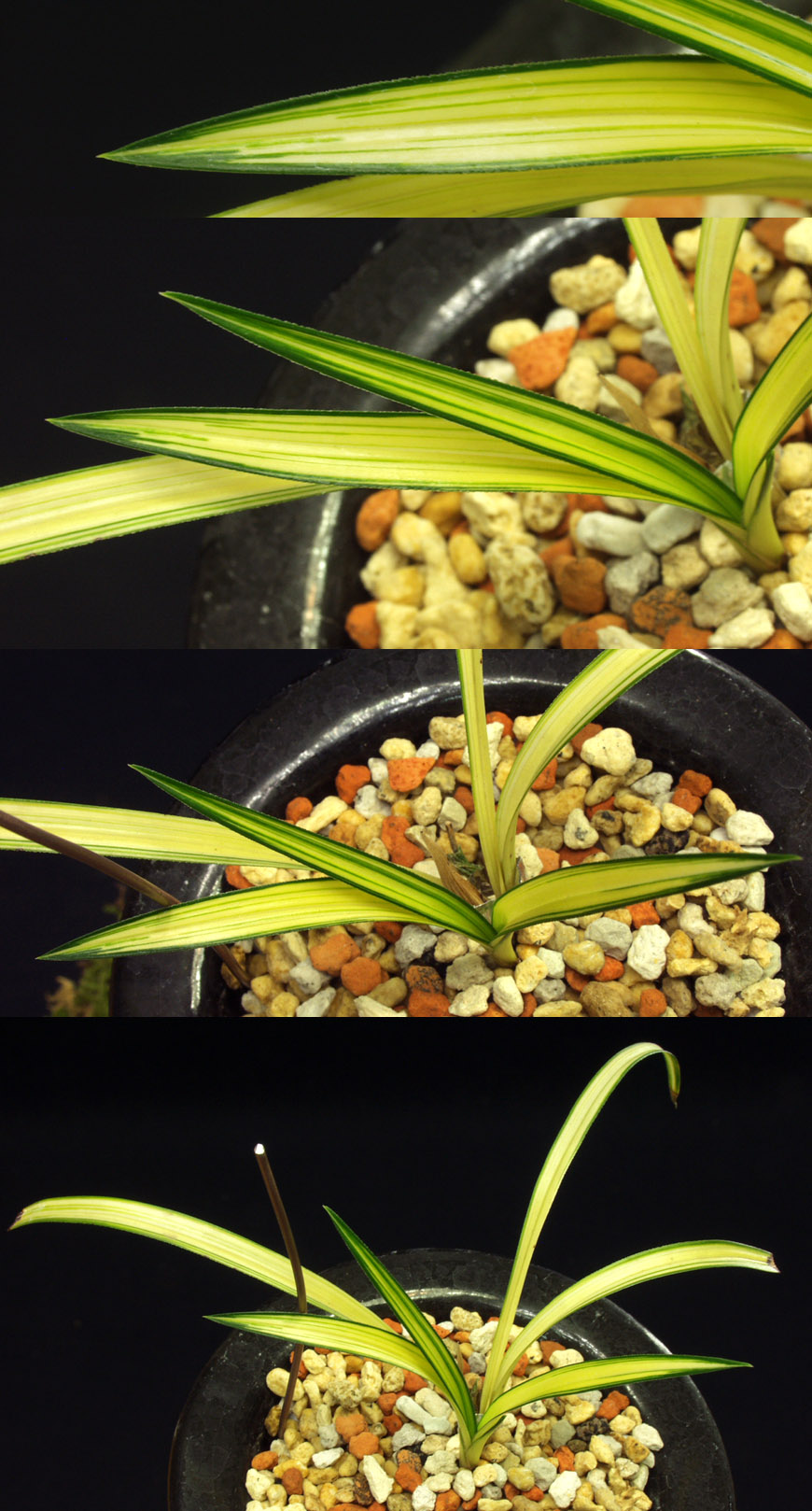 ������ ū������ �� �� �ֽ��ϴ�.