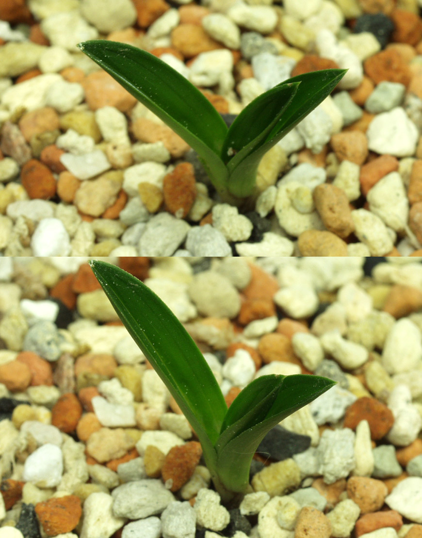 ������ ū������ �� �� �ֽ��ϴ�.