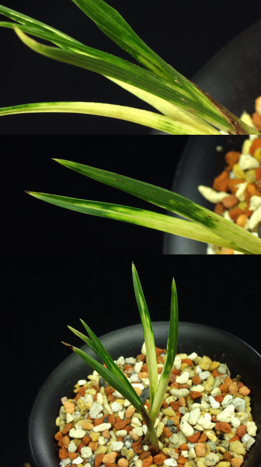 ������ ū������ �� �� �ֽ��ϴ�.