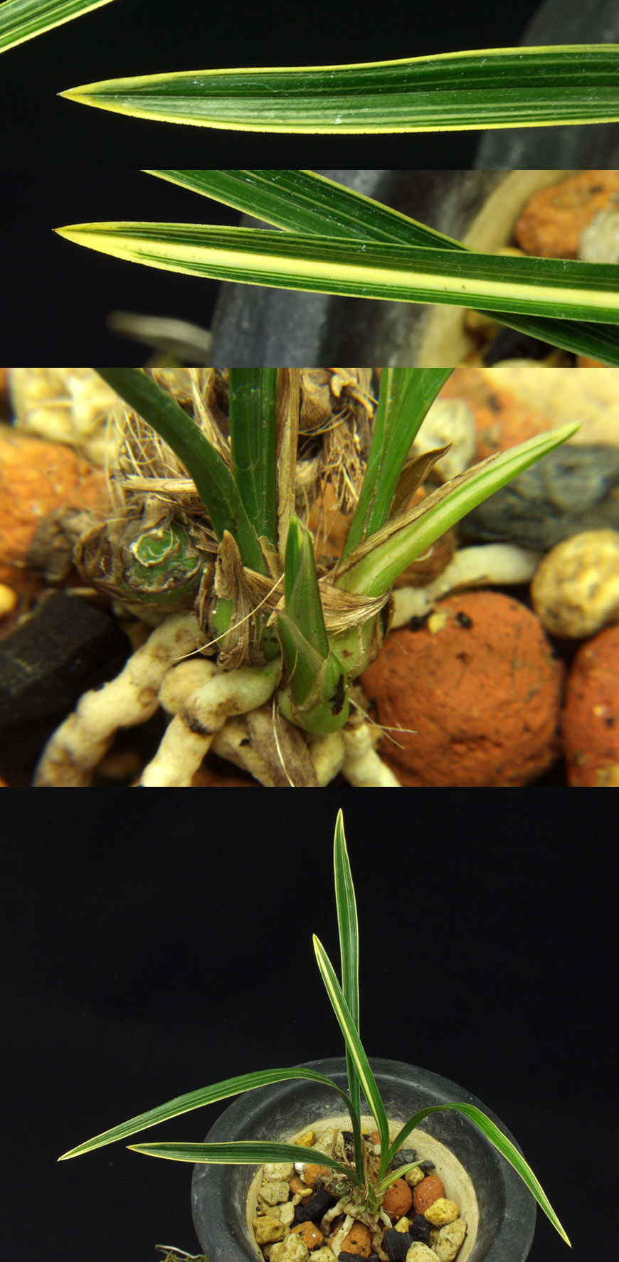 ������ ū������ �� �� �ֽ��ϴ�.