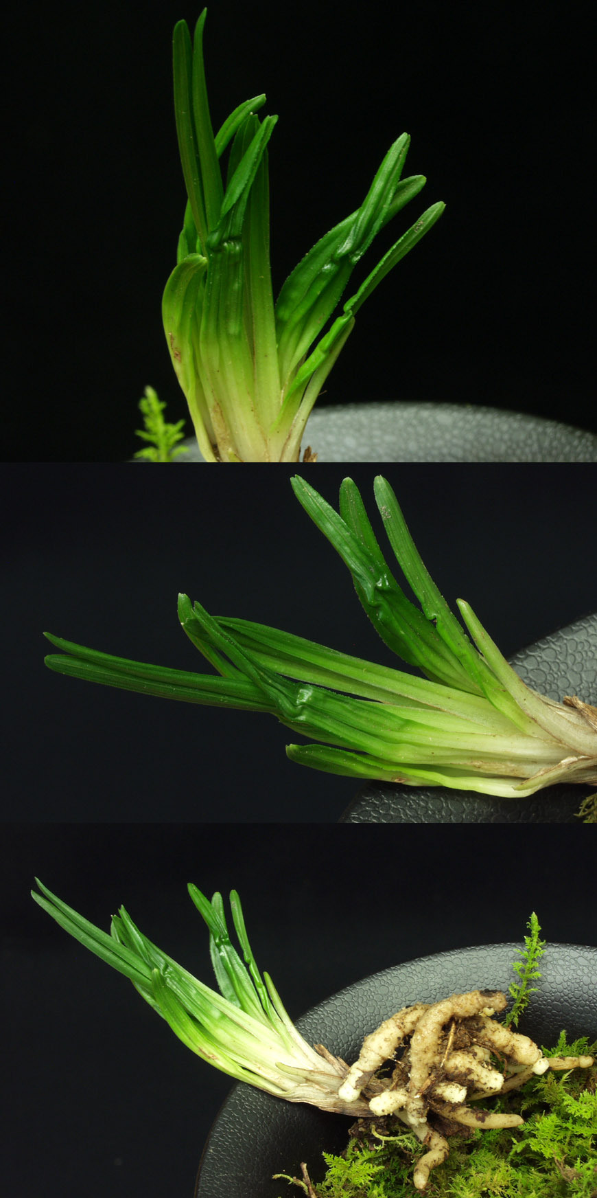 ������ ū������ �� �� �ֽ��ϴ�.