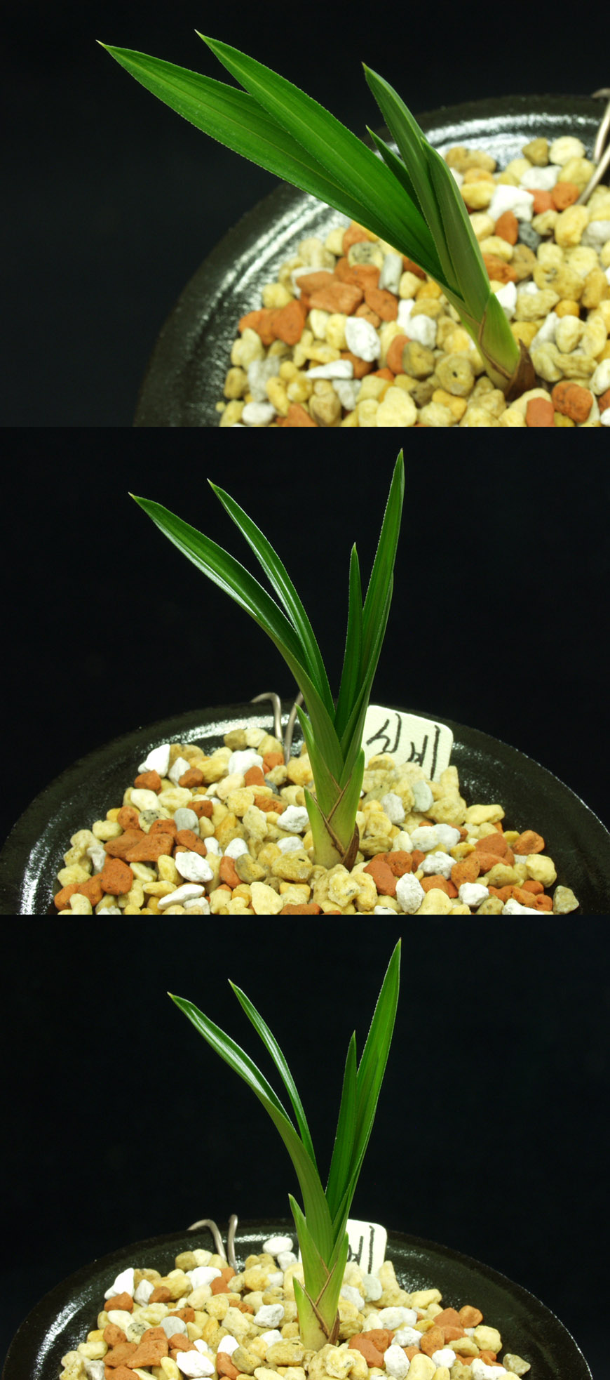 ������ ū������ �� �� �ֽ��ϴ�.