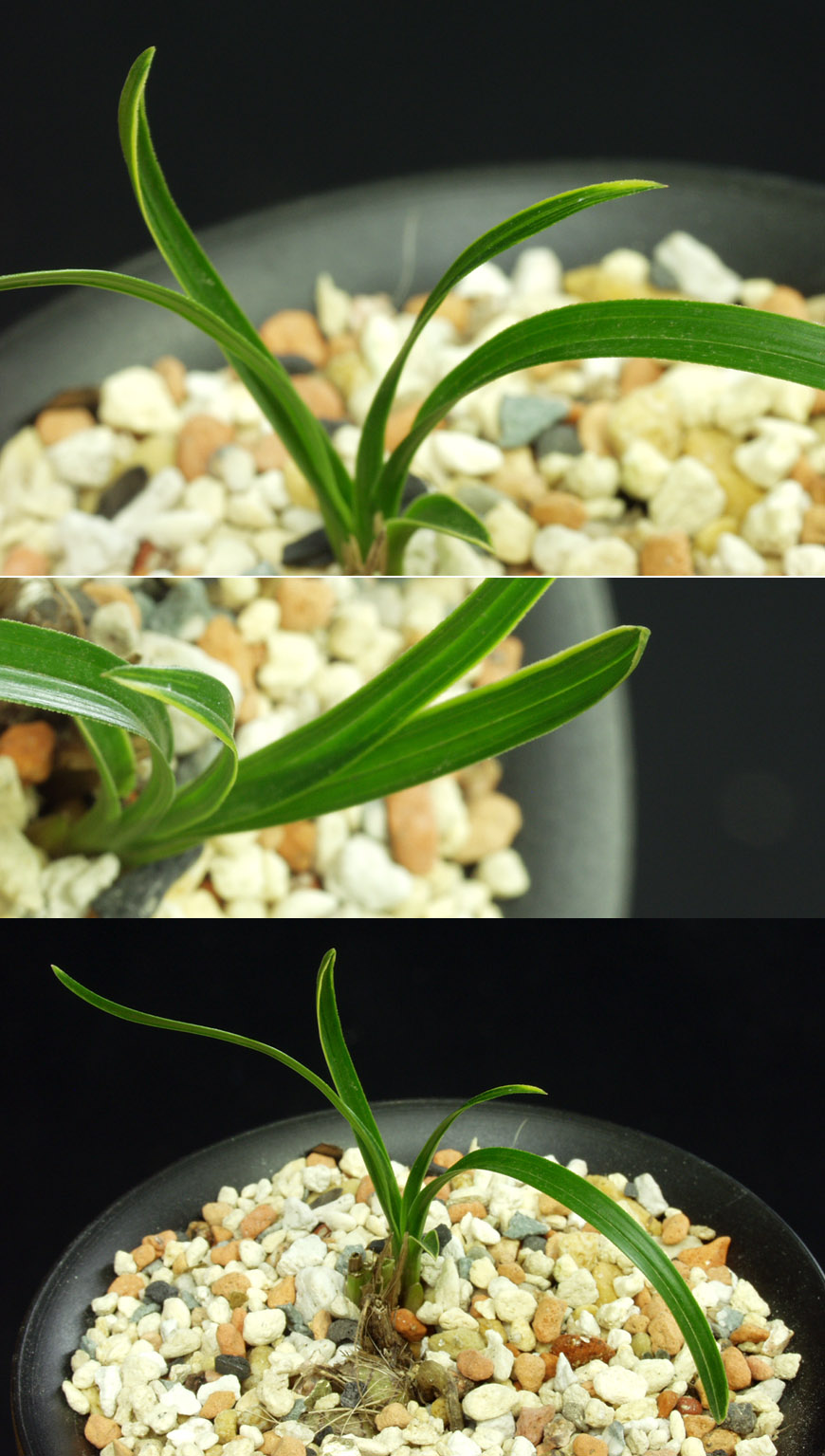 ������ ū������ �� �� �ֽ��ϴ�.