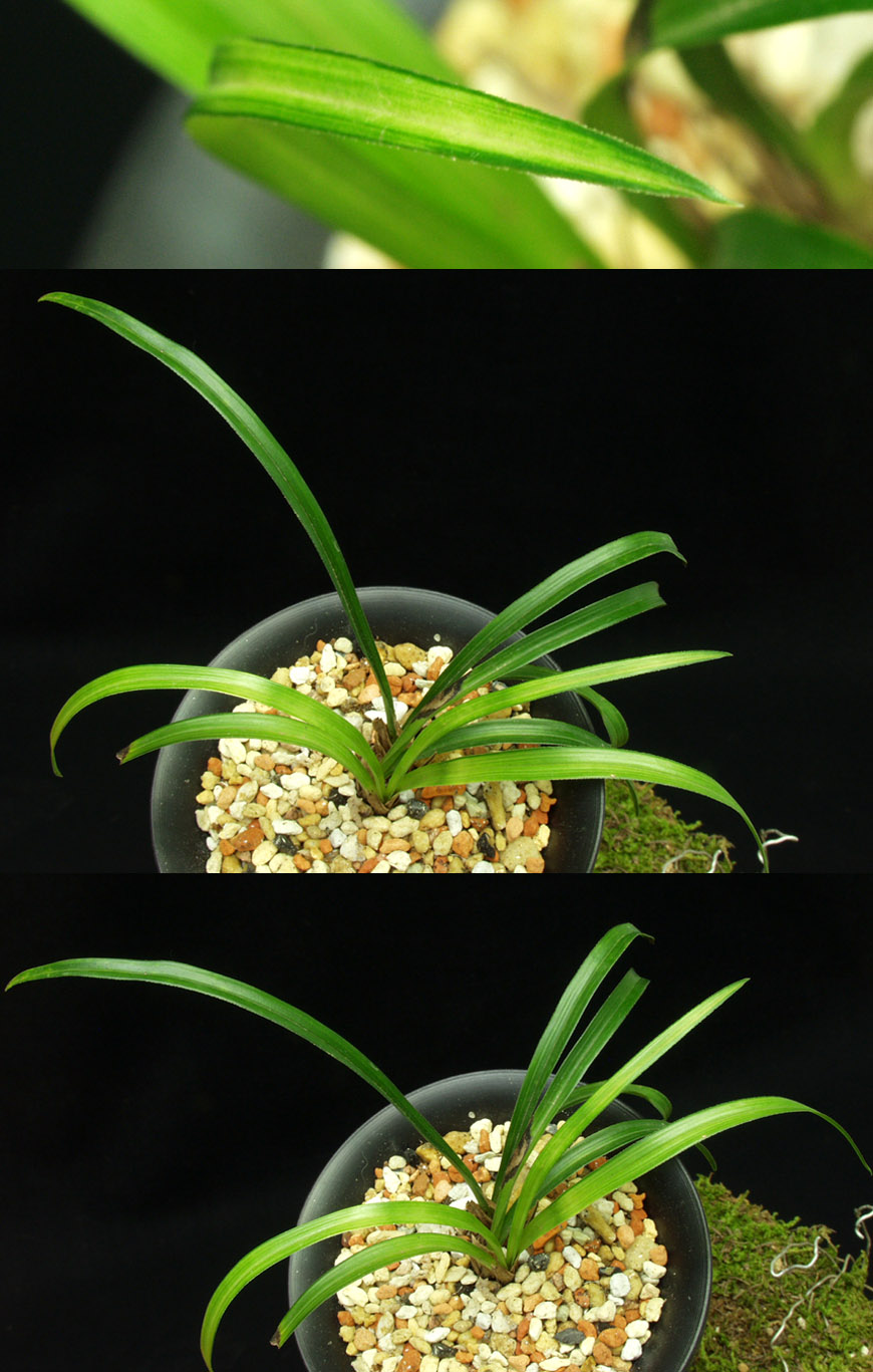 ������ ū������ �� �� �ֽ��ϴ�.