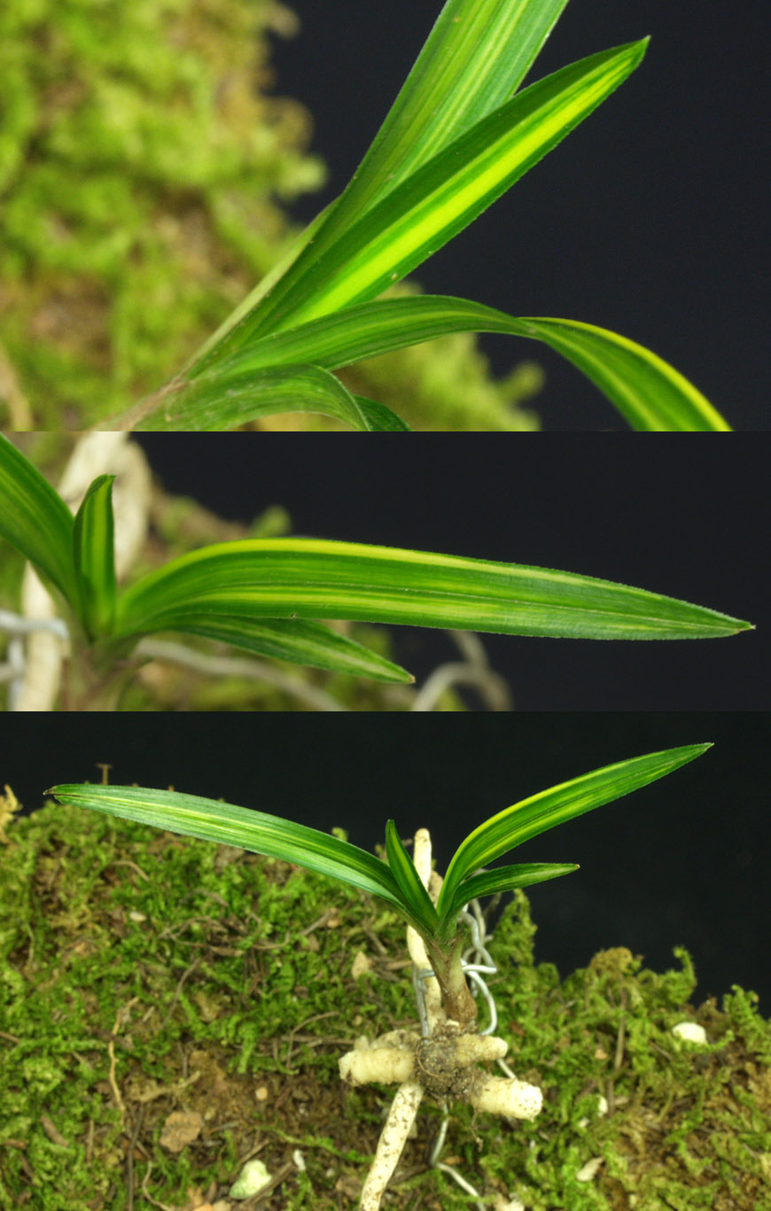 ������ ū������ �� �� �ֽ��ϴ�.