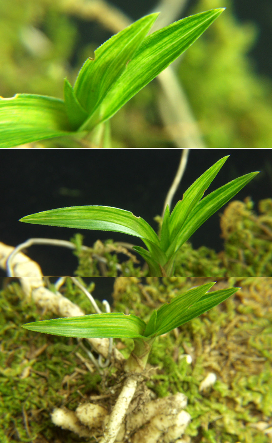 ������ ū������ �� �� �ֽ��ϴ�.