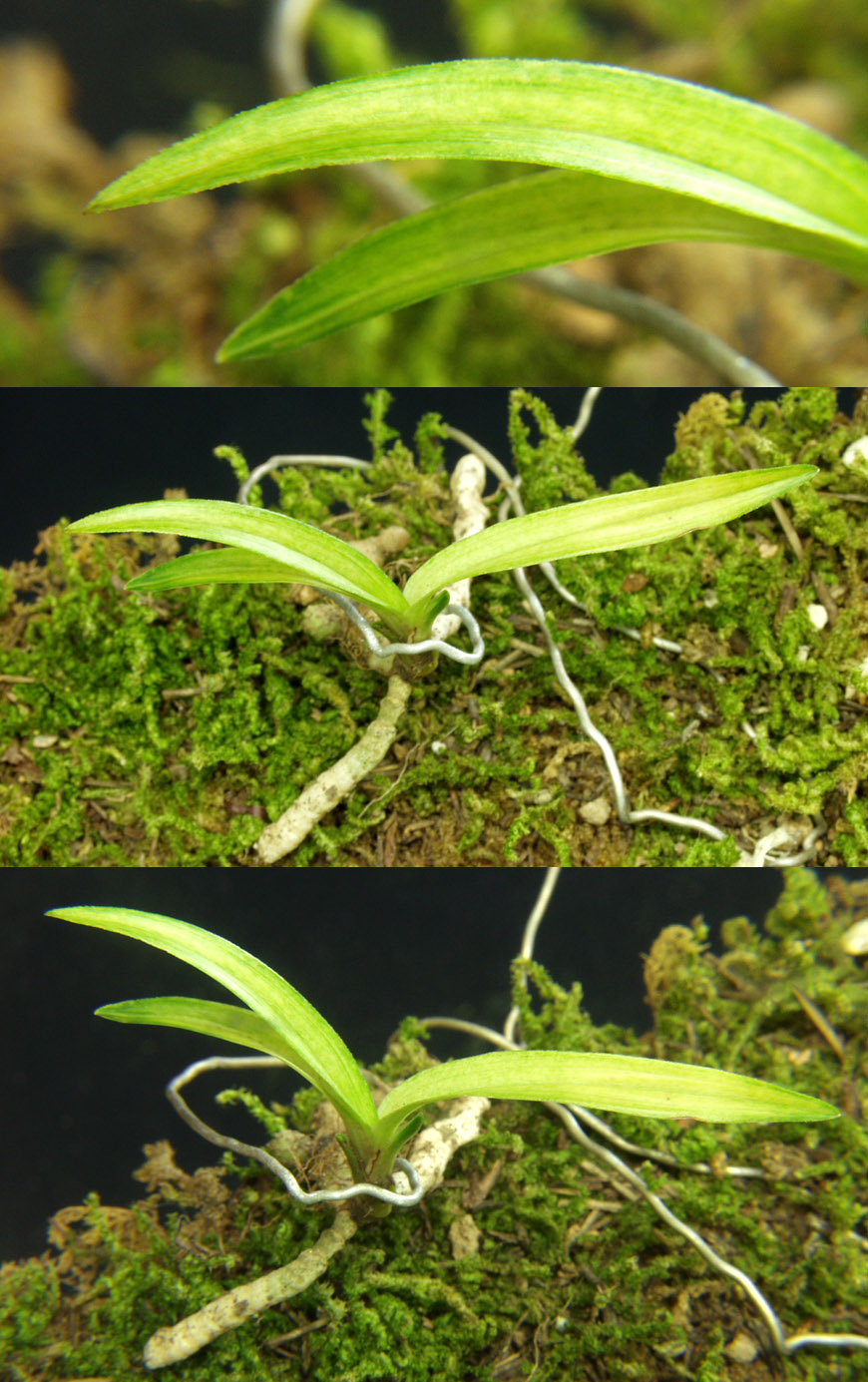 ������ ū������ �� �� �ֽ��ϴ�.